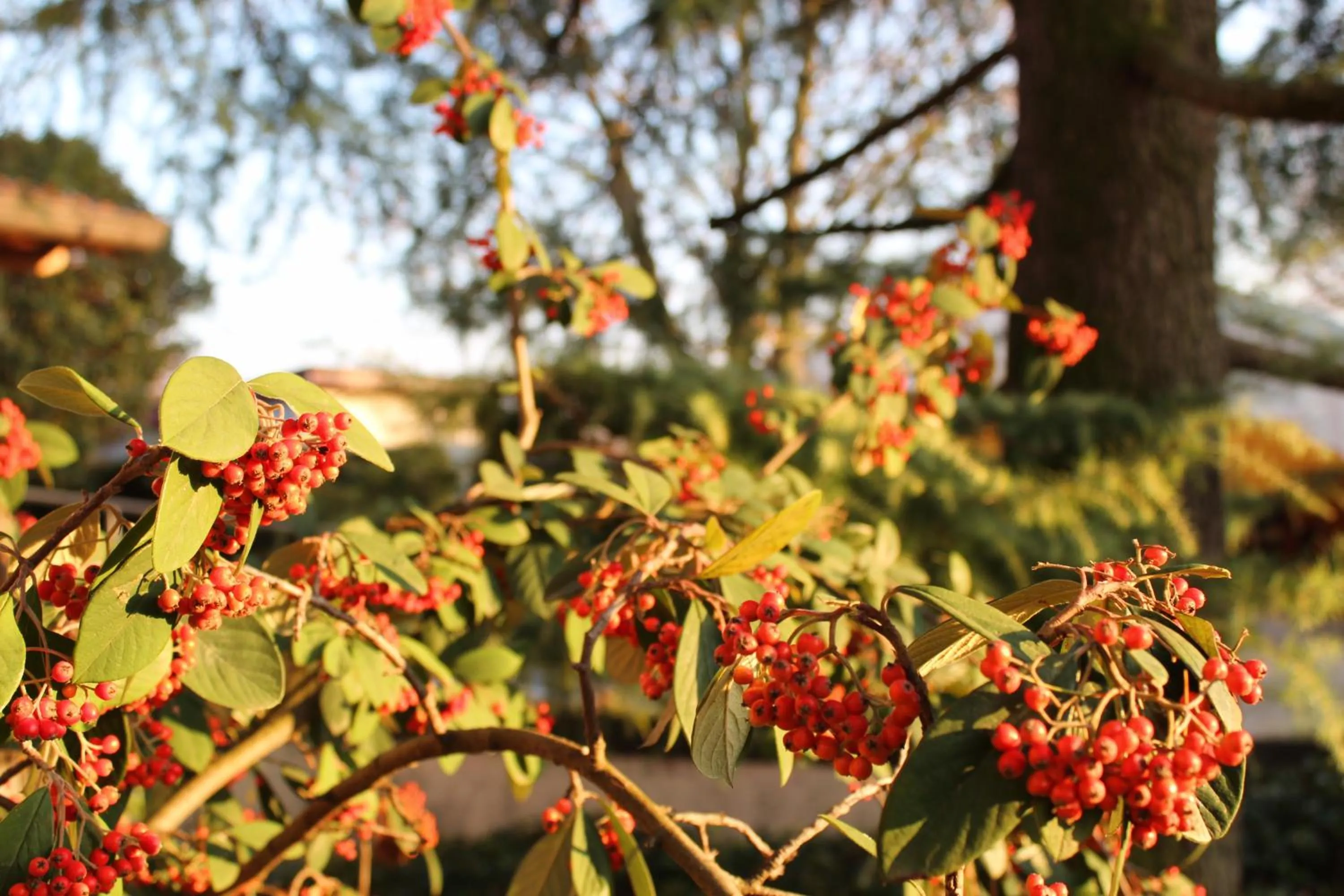 Garden view in Appartamento " Nella Natura "
