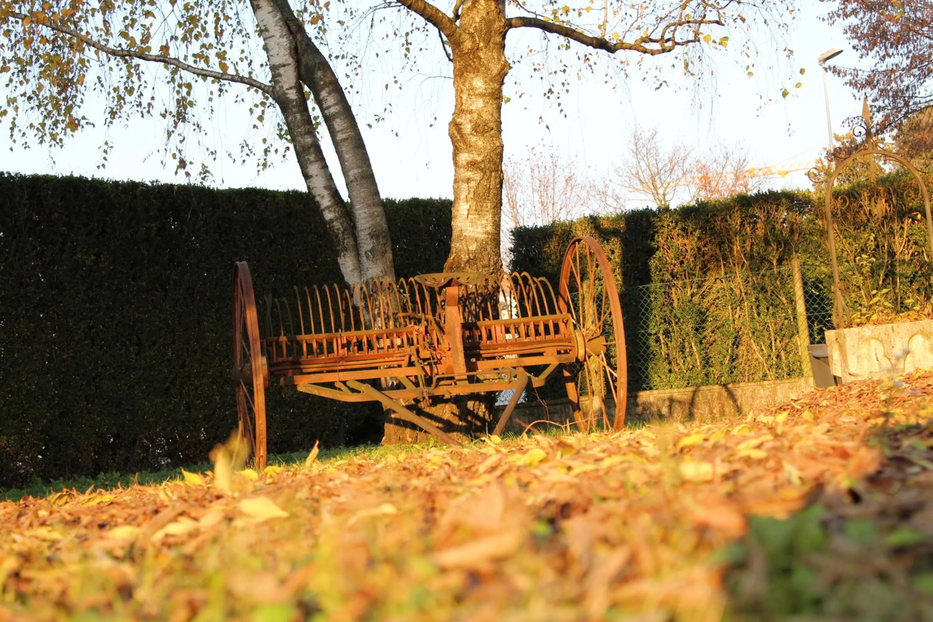 Winter in Appartamento " Nella Natura "