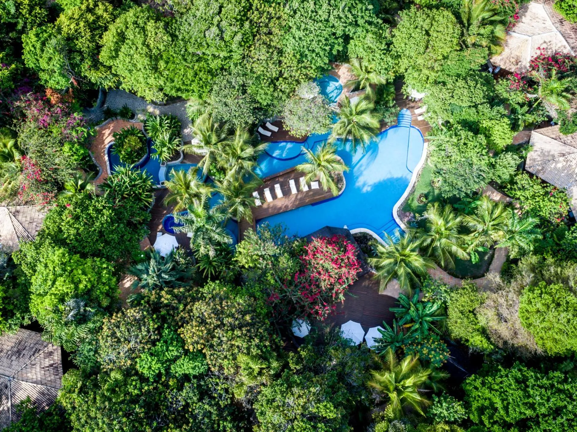 Sombra e Água Fresca Floresta