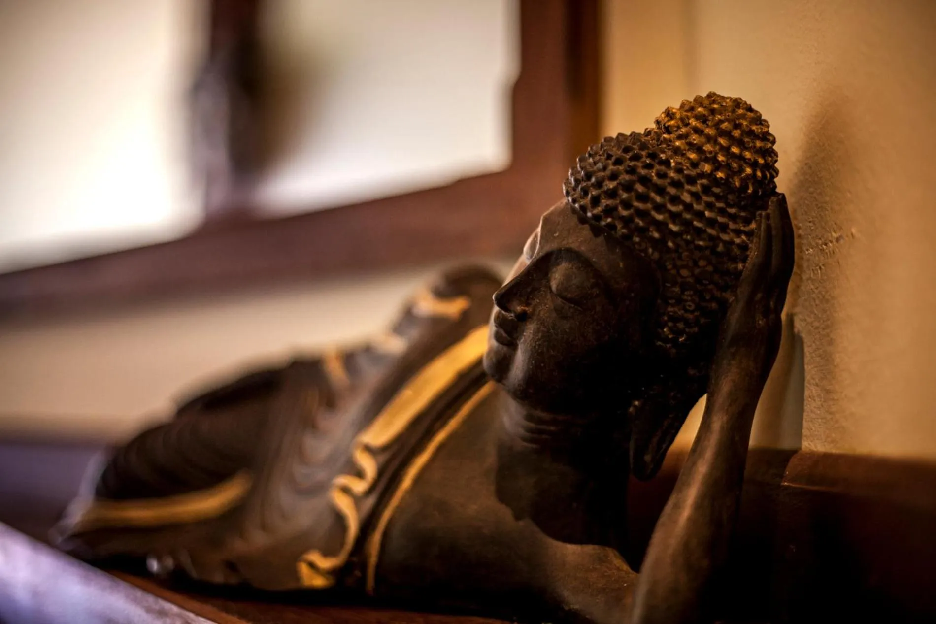 Sombra e Água Fresca Floresta