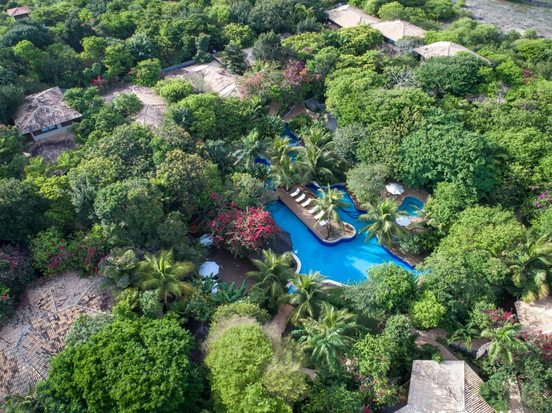 Sombra e Água Fresca Floresta