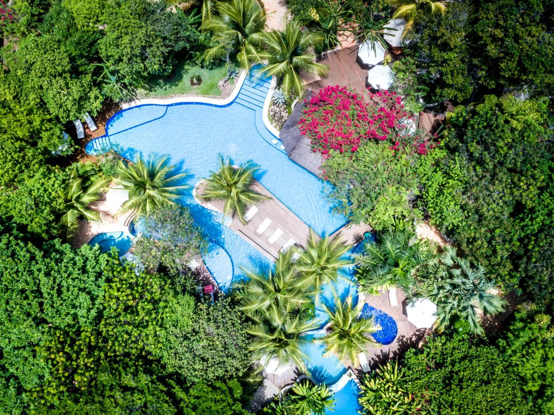 Swimming pool in Sombra e Água Fresca Floresta
