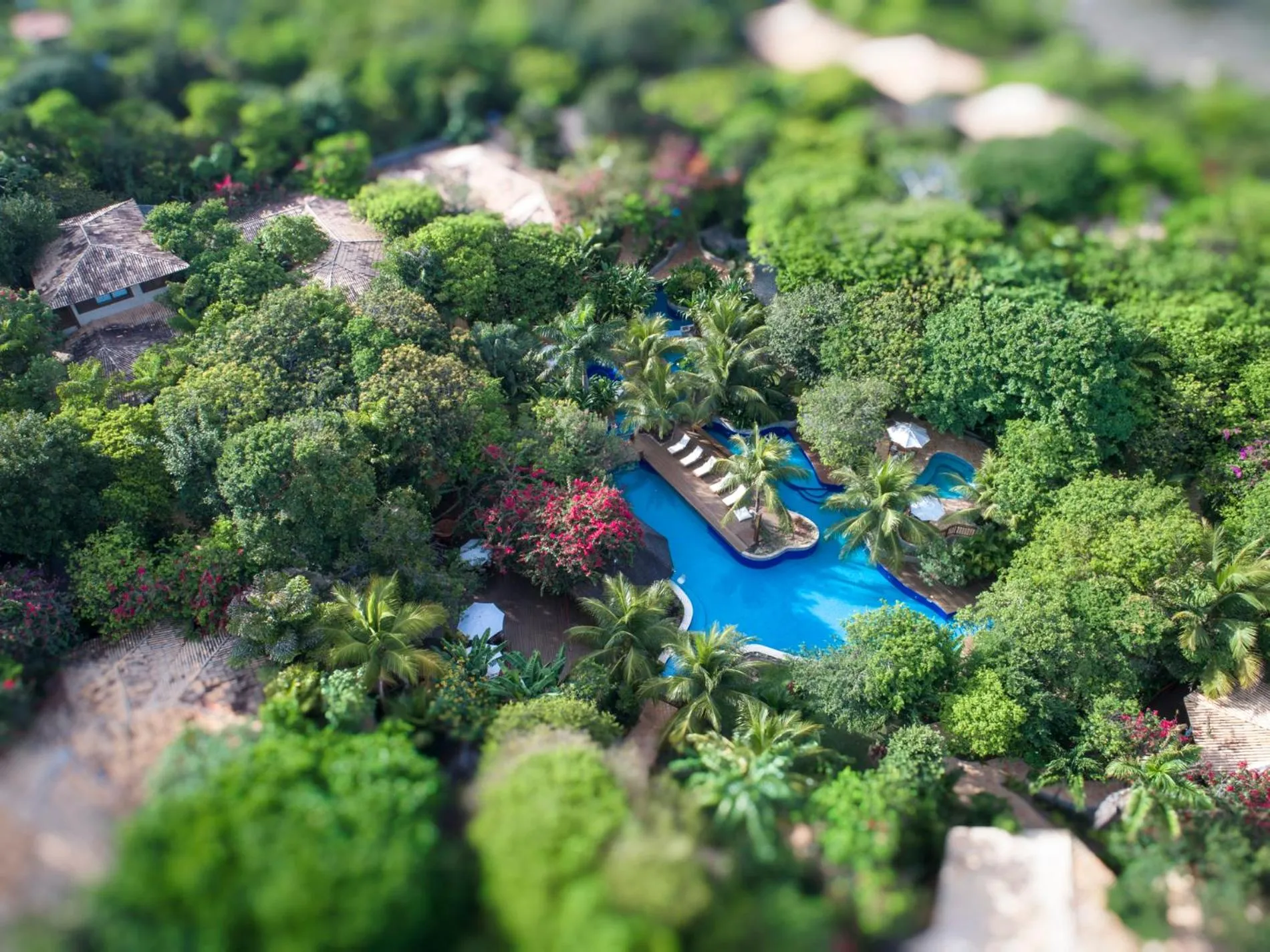 Sombra e Água Fresca Floresta