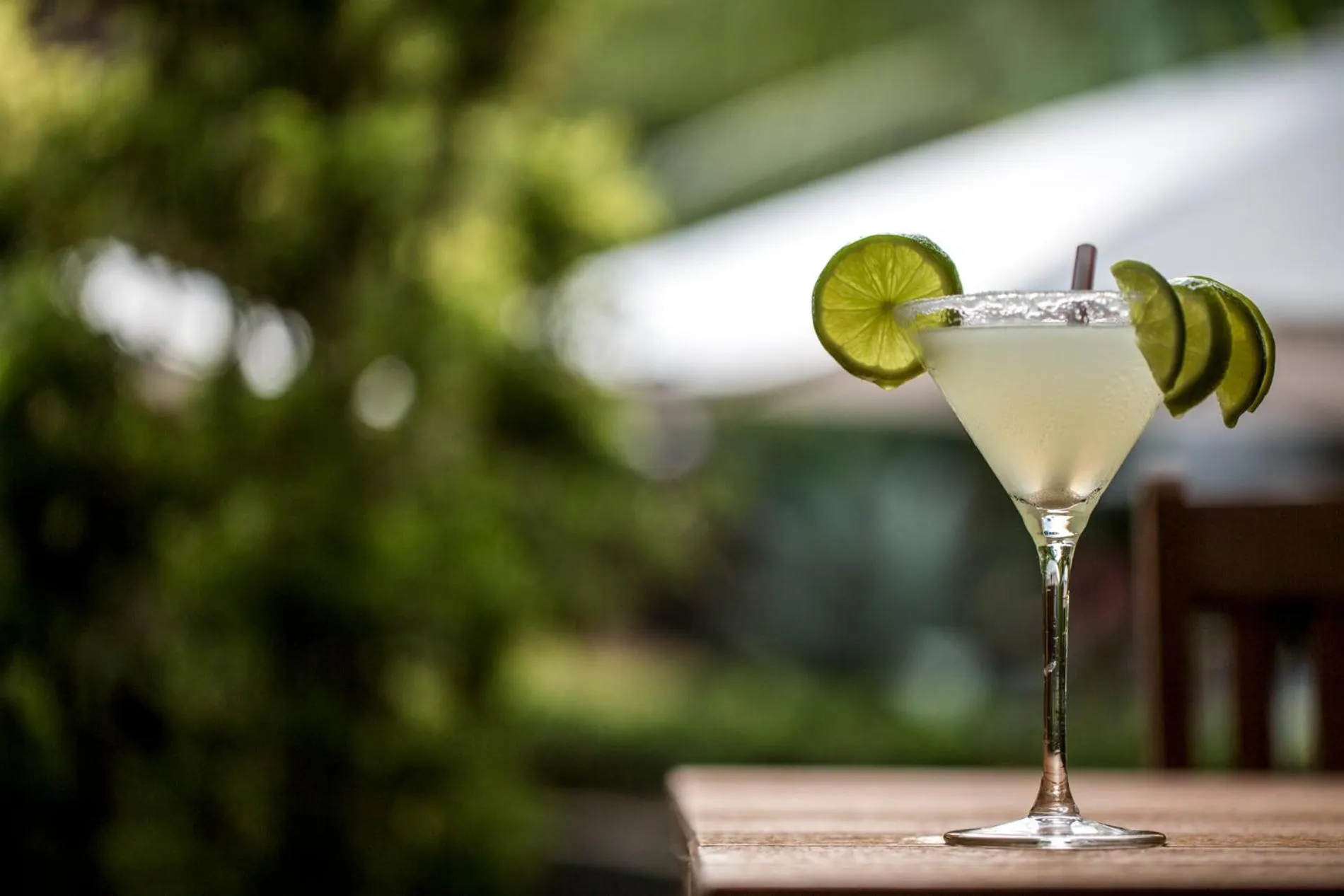 Sombra e Água Fresca Floresta