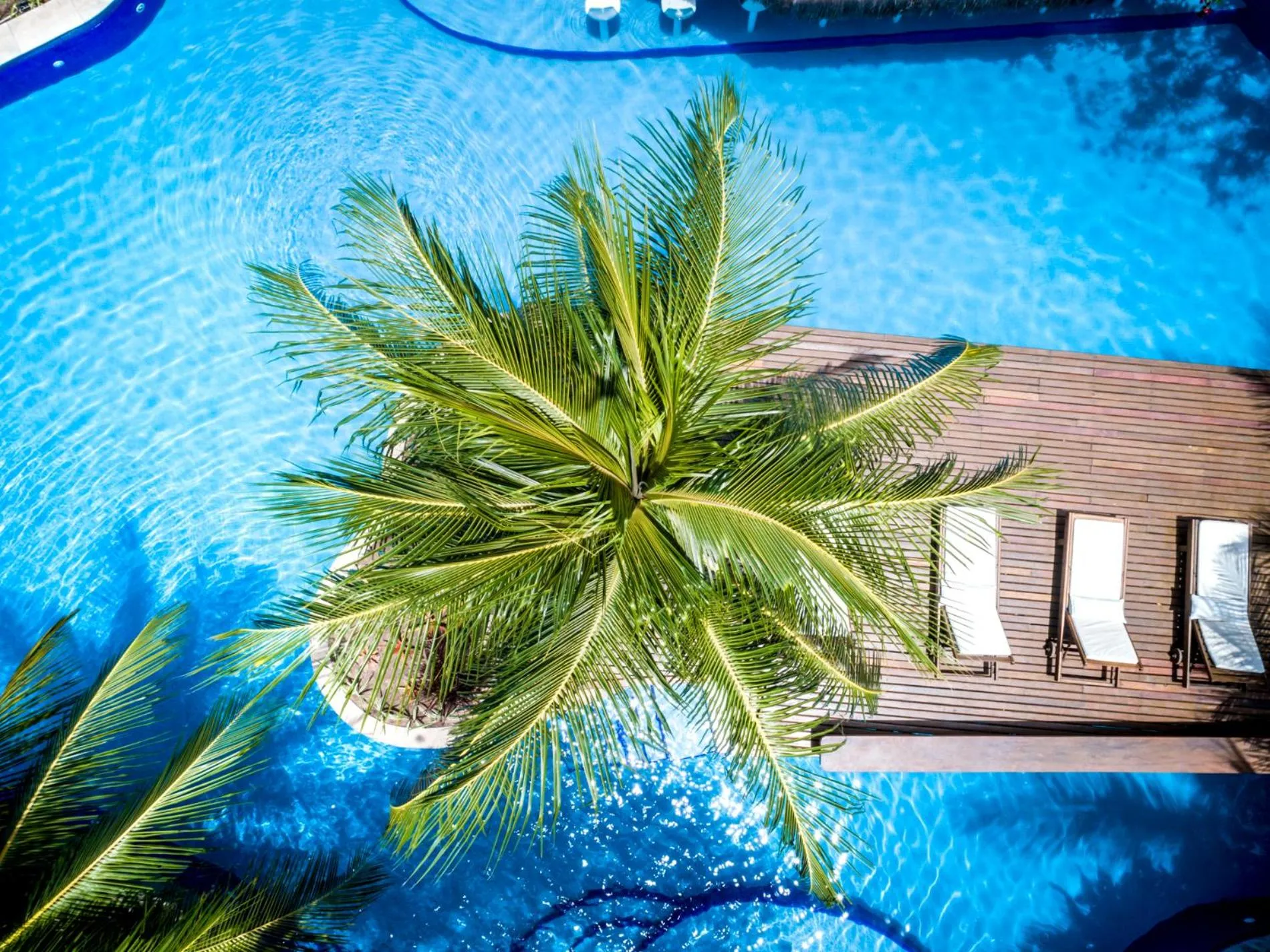 Sombra e Água Fresca Floresta