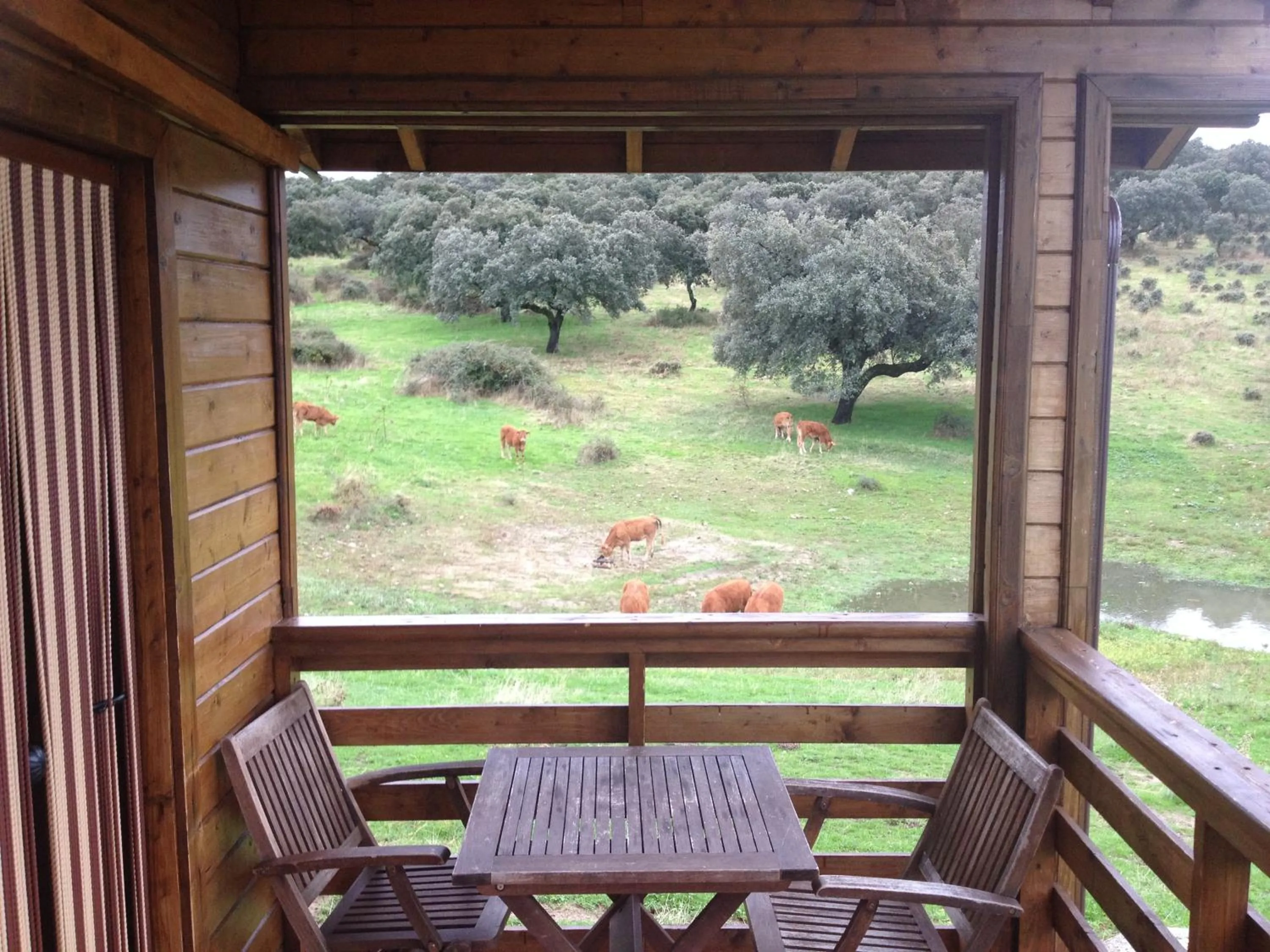 Balcony/Terrace in Complejo Rural Los Jarales