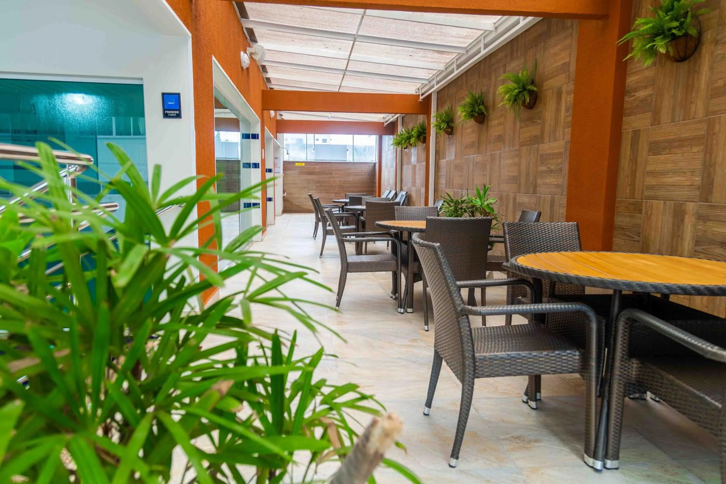 Activities in Hotel Vieiras