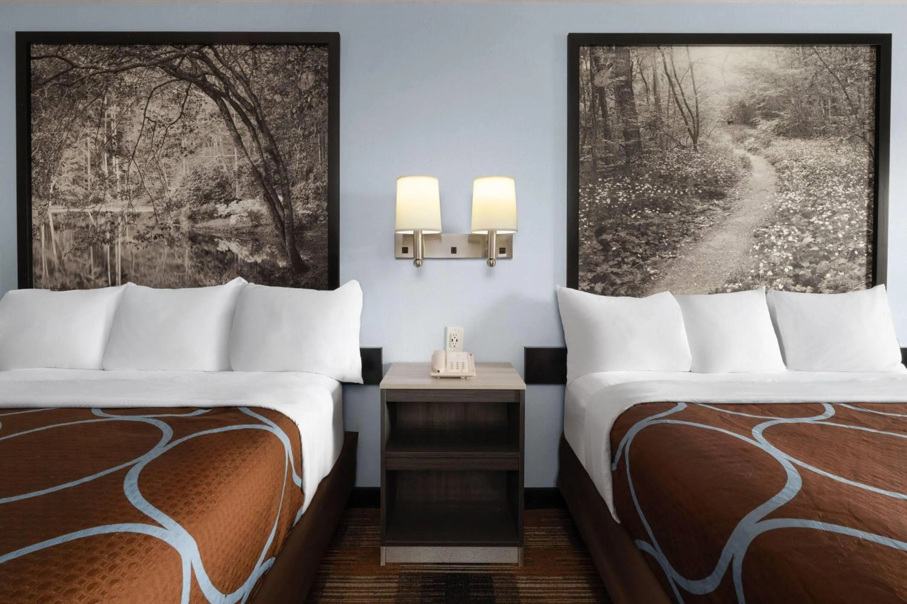 Photo of the whole room, Bed in Super 8 by Wyndham Covington