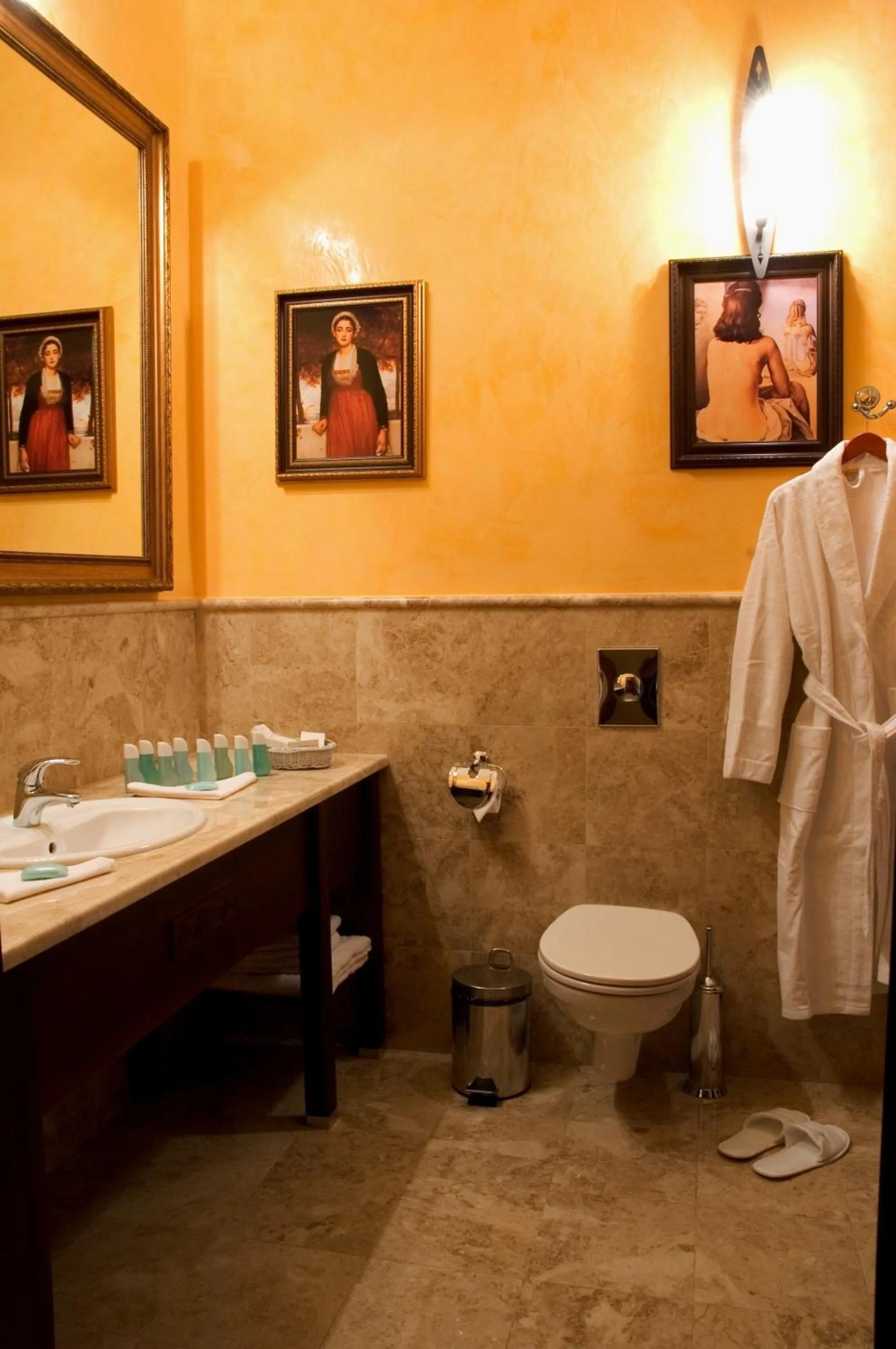 Toilet in Optima Collection Dnipro