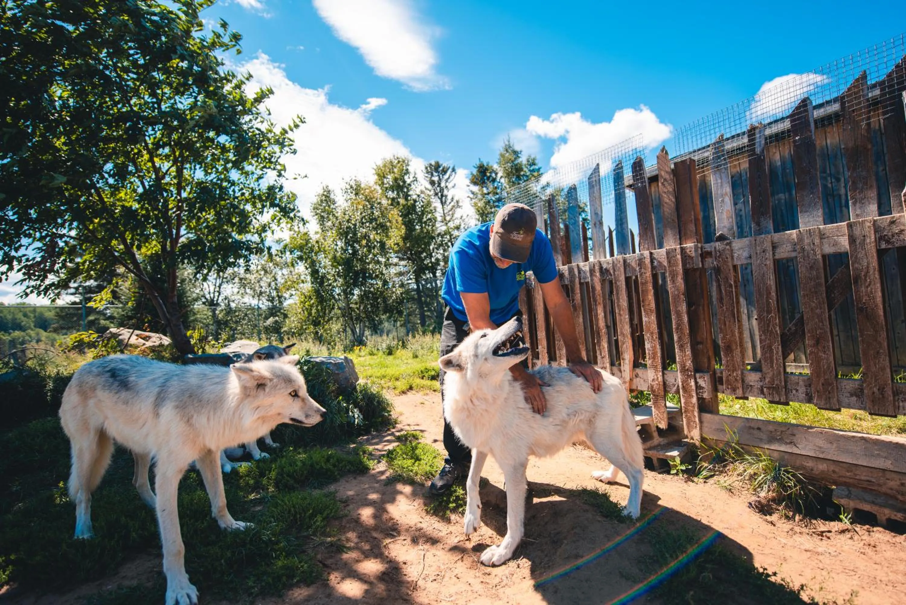 Centre de Vacances 5 Étoiles Family Resort