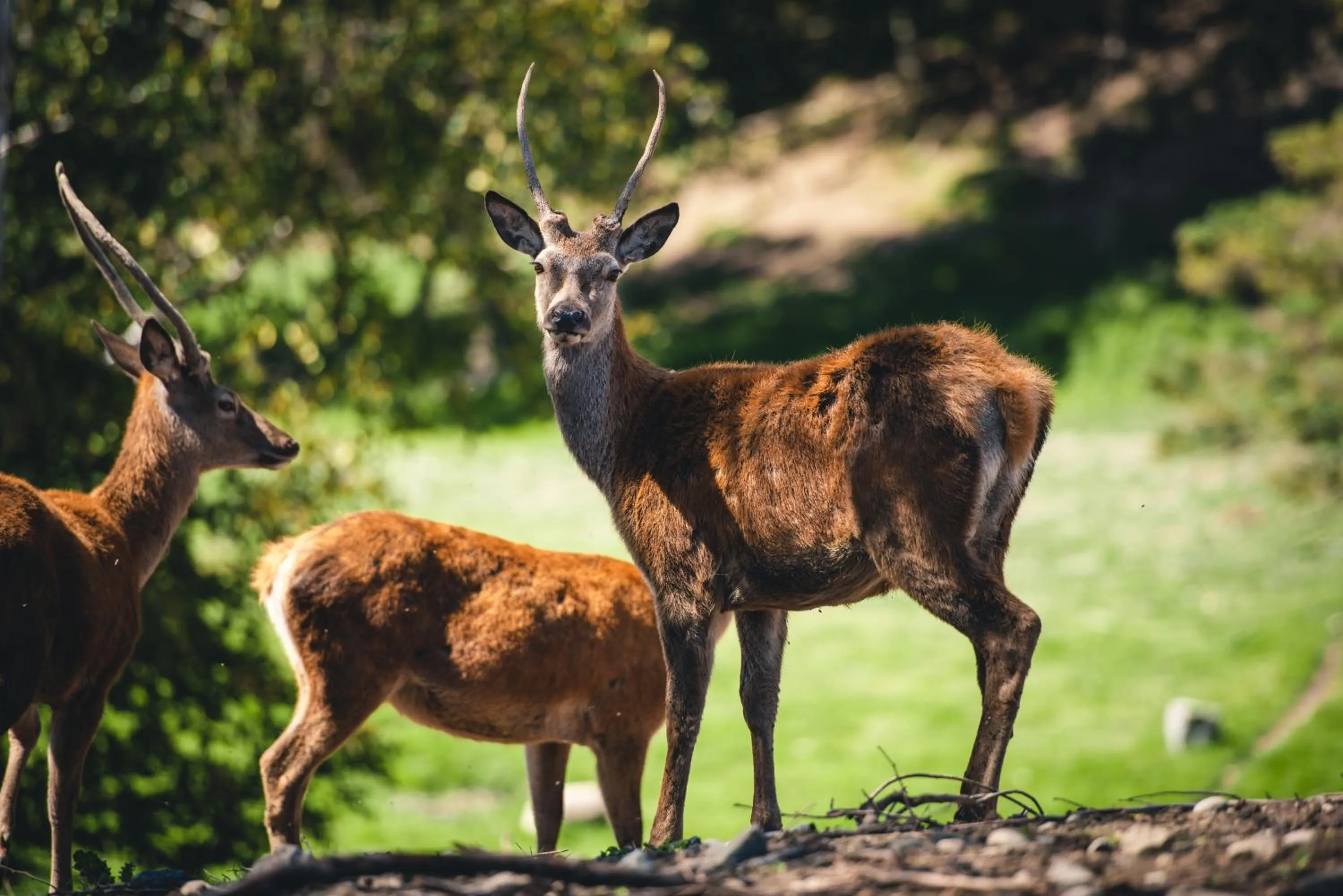 Centre de Vacances 5 Étoiles Family Resort