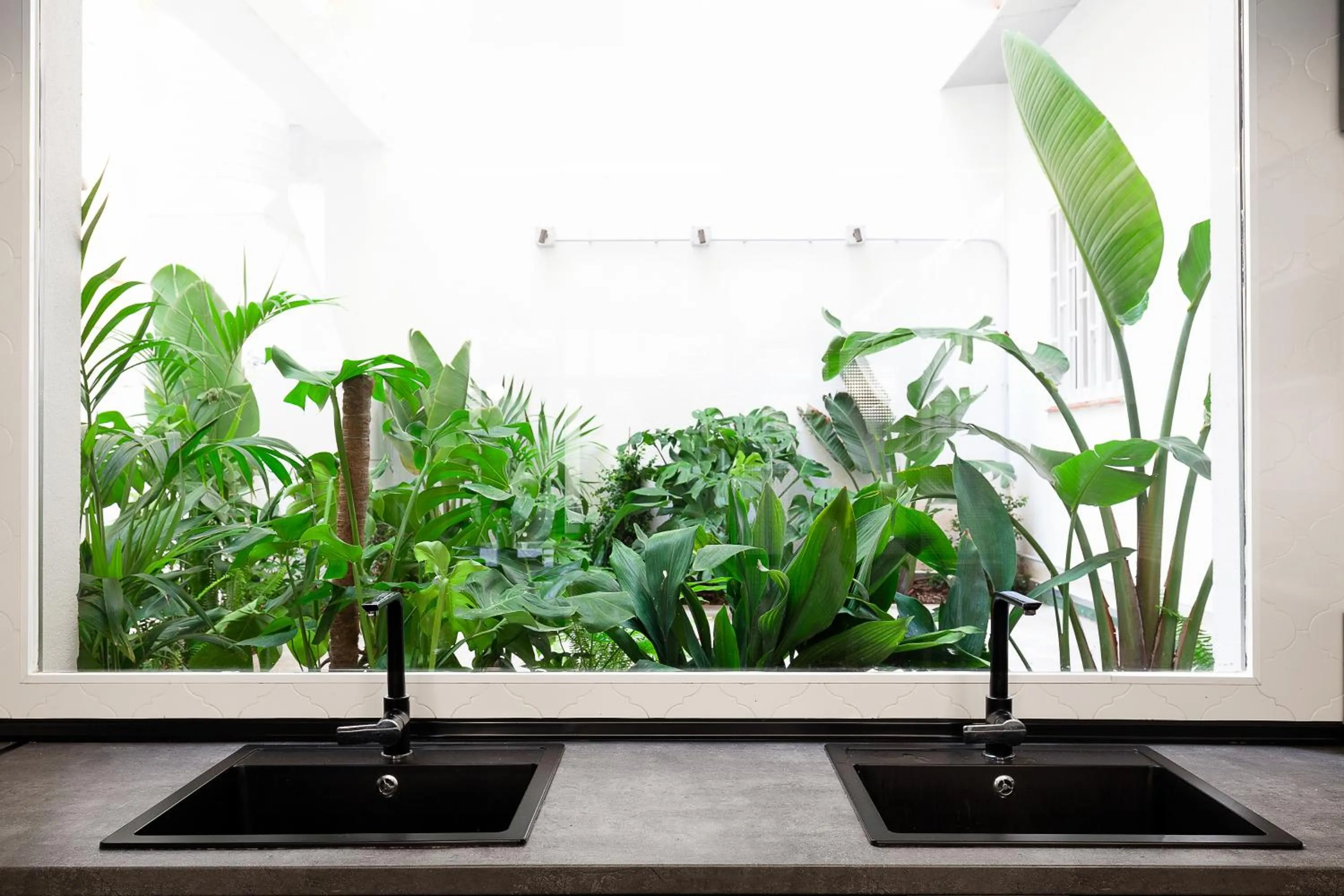 Garden in 2060 The Newton Hostel