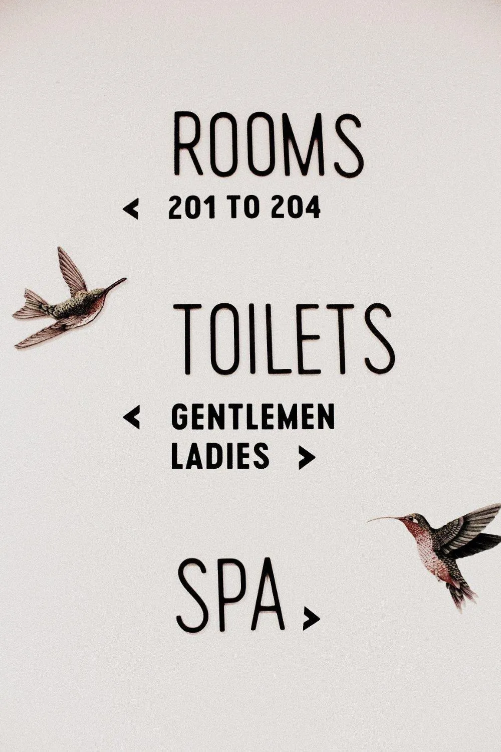 Area and facilities in 2060 The Newton Hostel