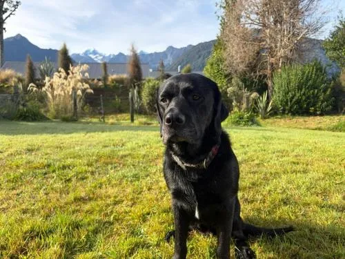 Mt Cook View Motel - Fox Glacier