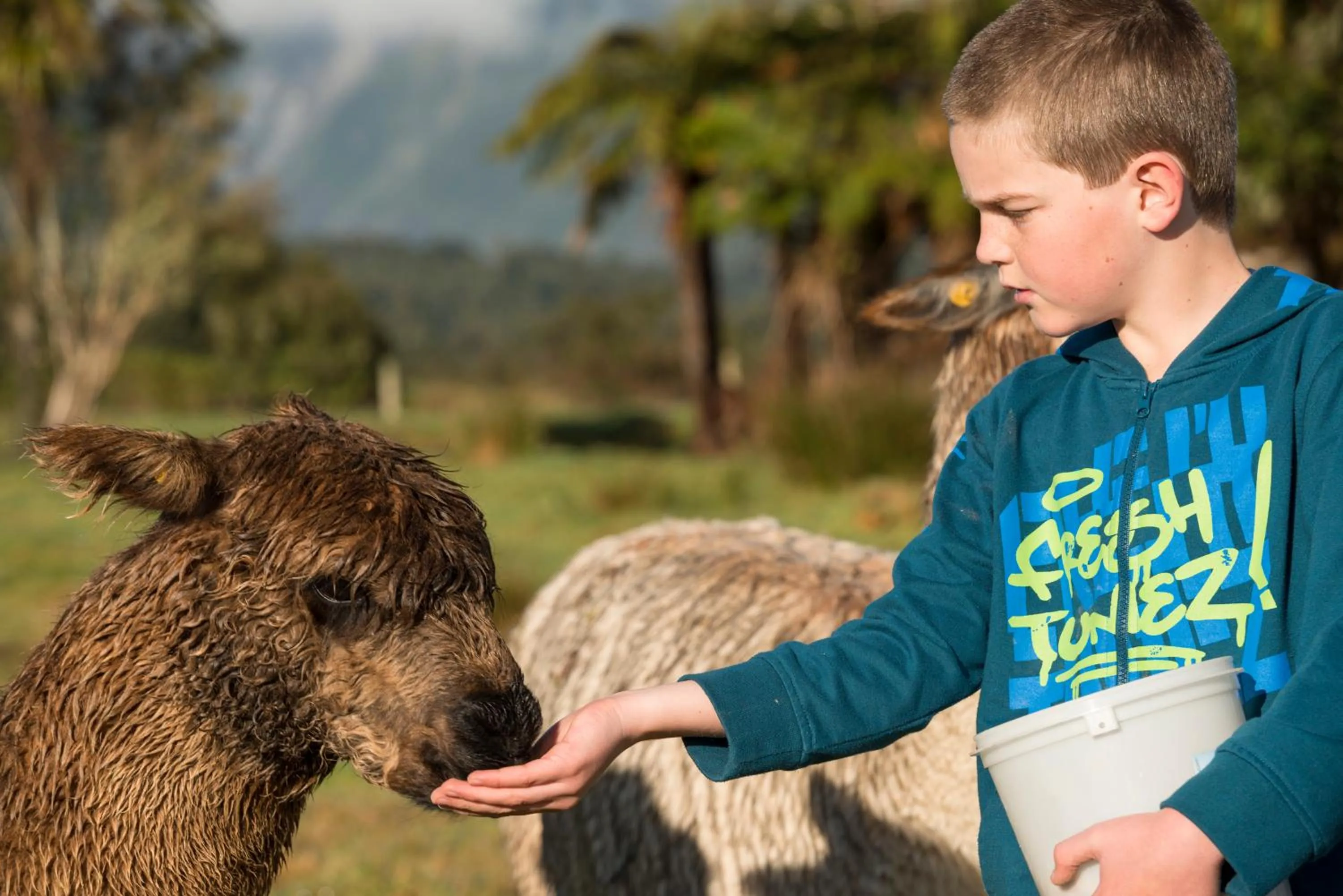 People in Glenfern Villas