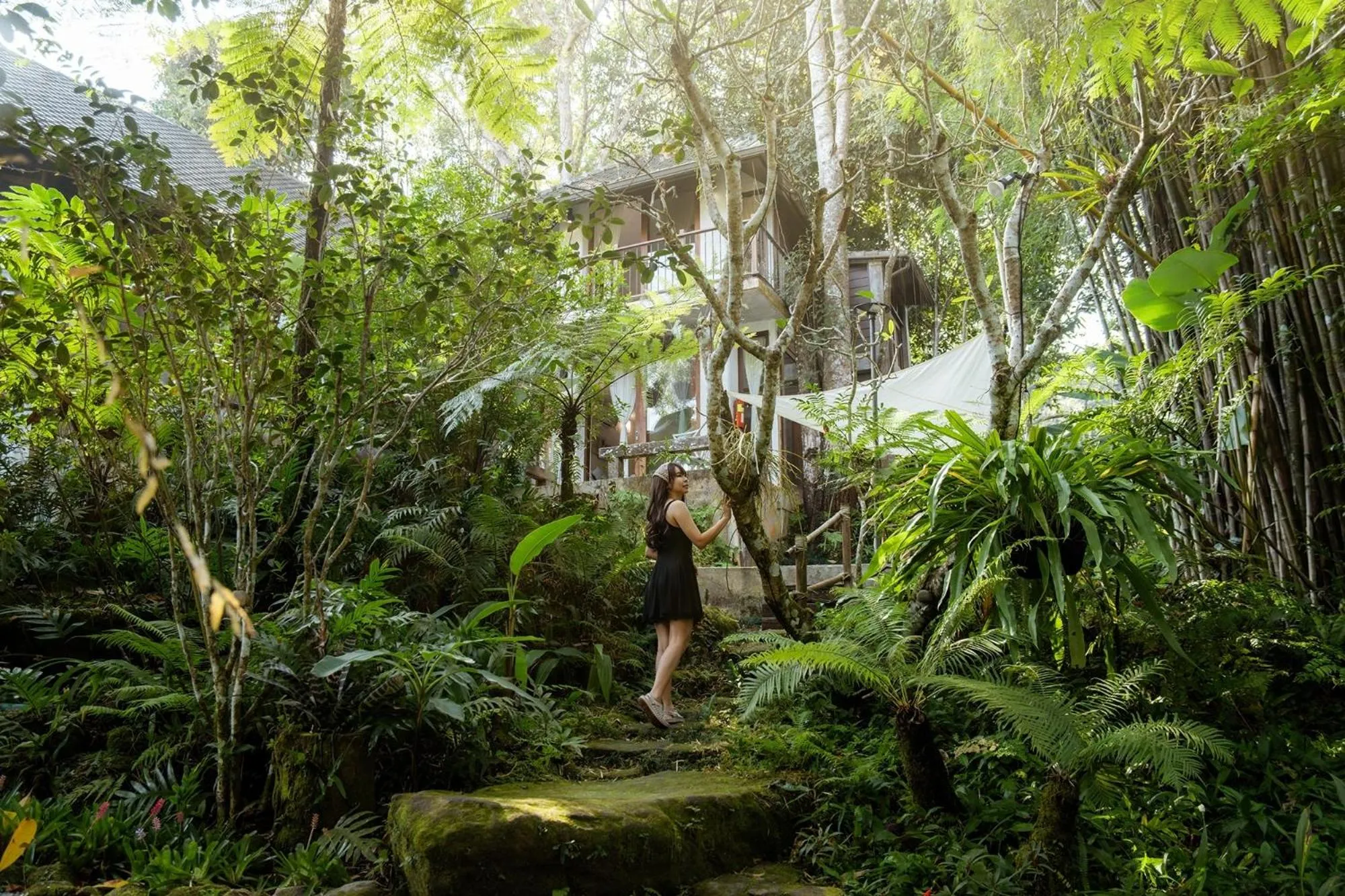 Natural landscape in Proud Phu Fah Maerim Resort