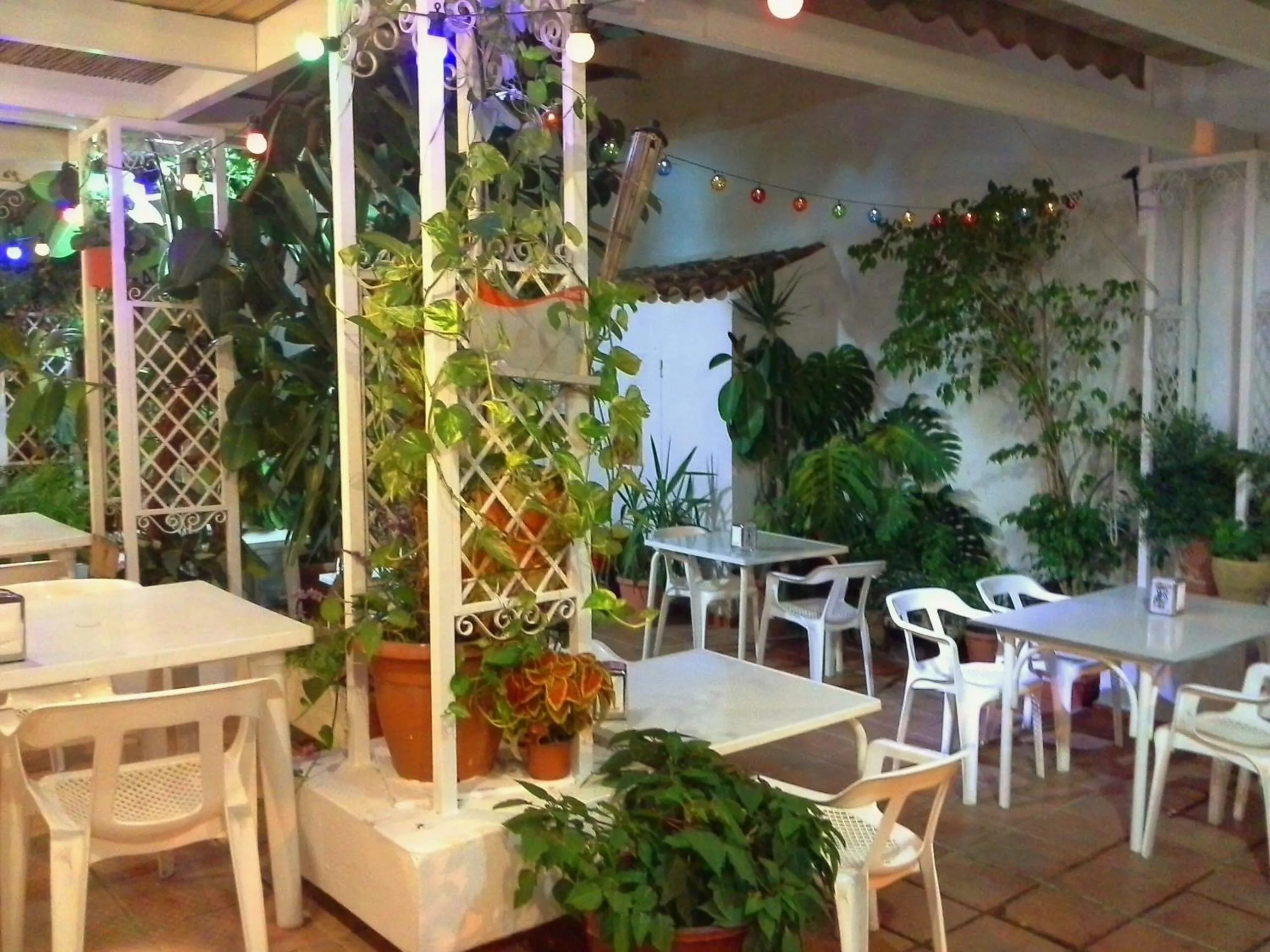 Restaurant/places to eat in Hotel Ramis fundado en 1969