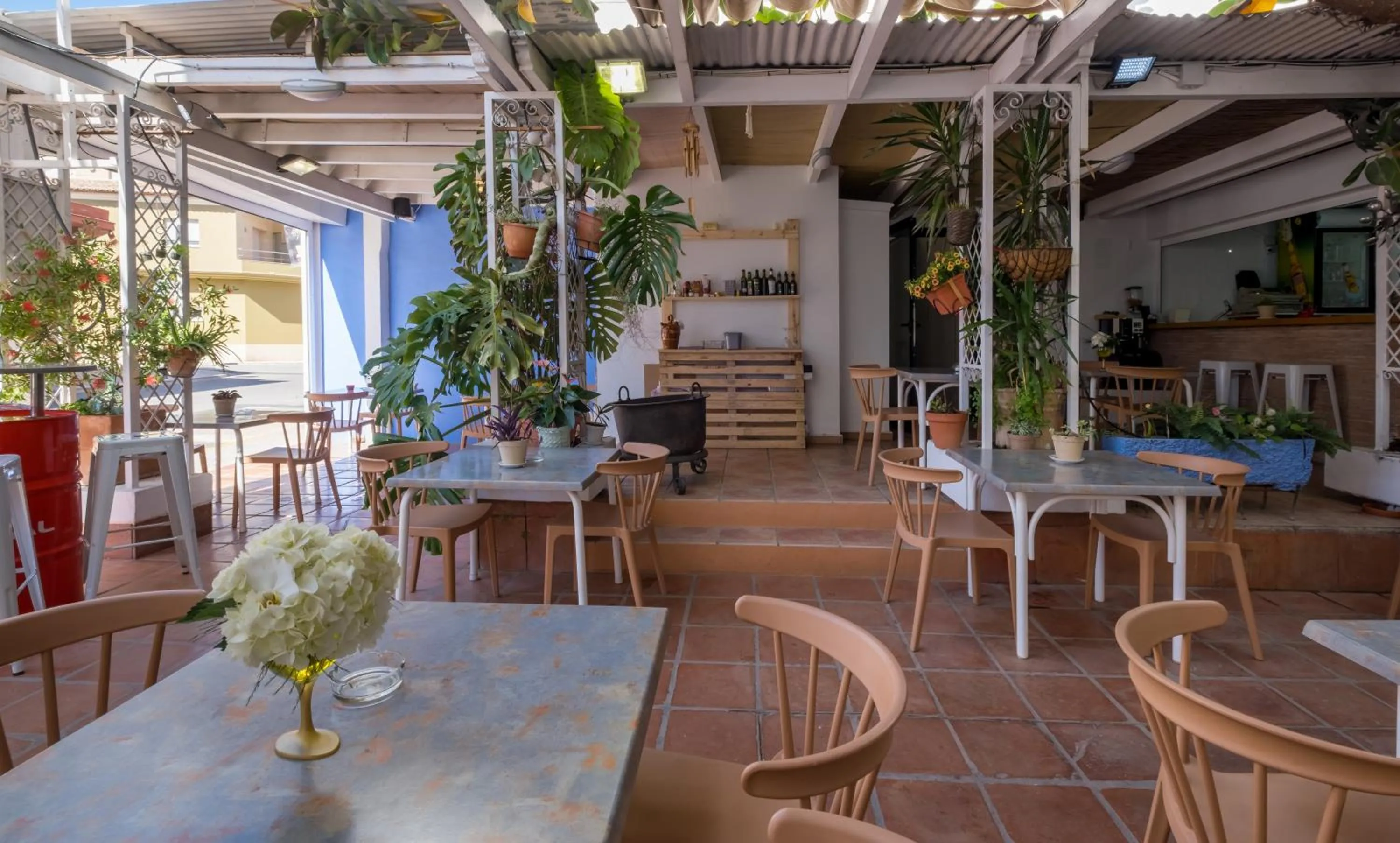 Patio in Hotel Ramis fundado en 1969