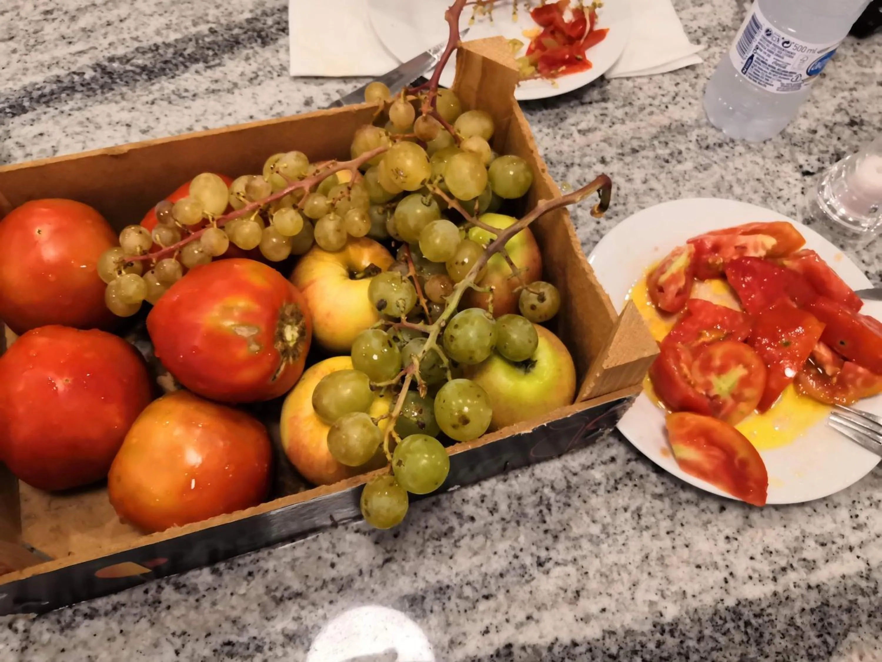 Food in Hotel Ramis fundado en 1969