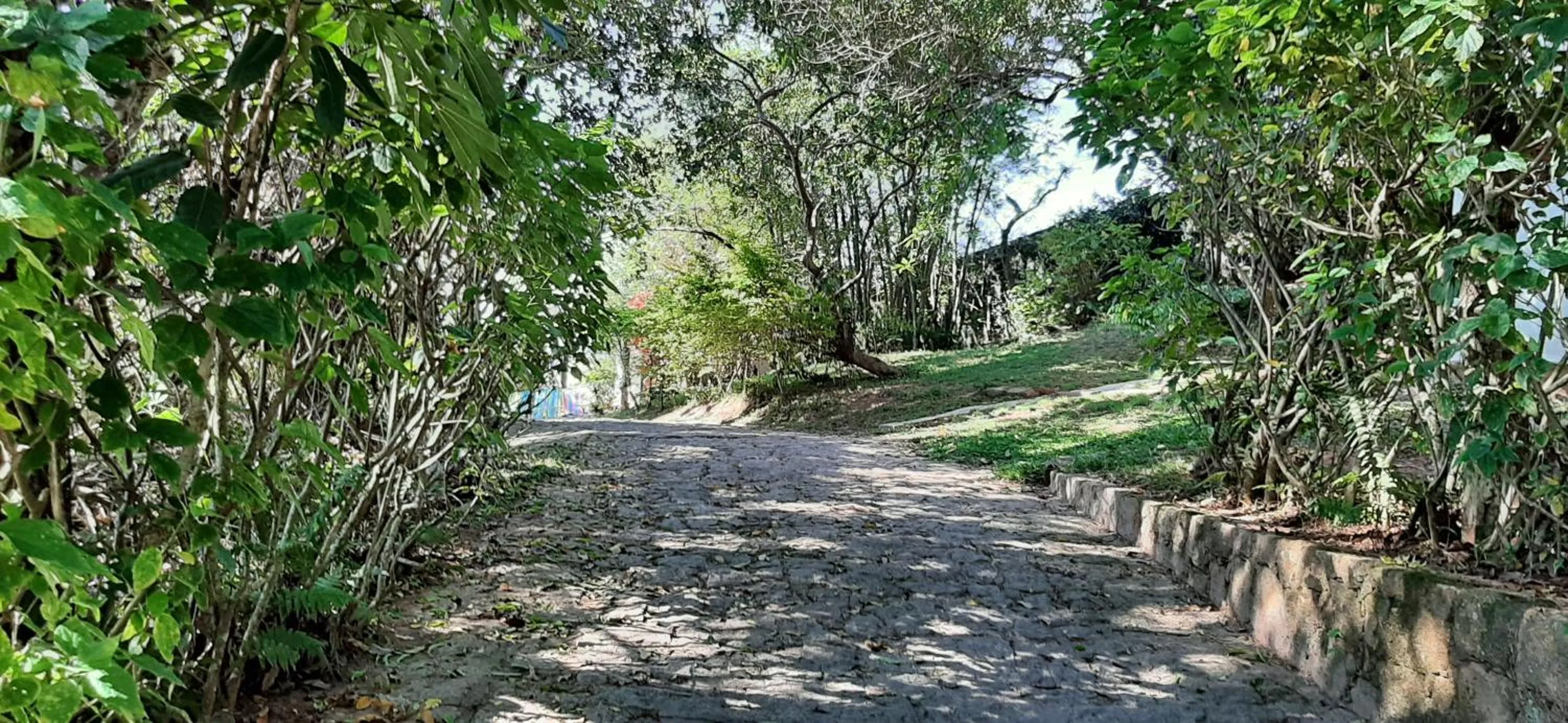 Garden in Pousada da Lagoinha