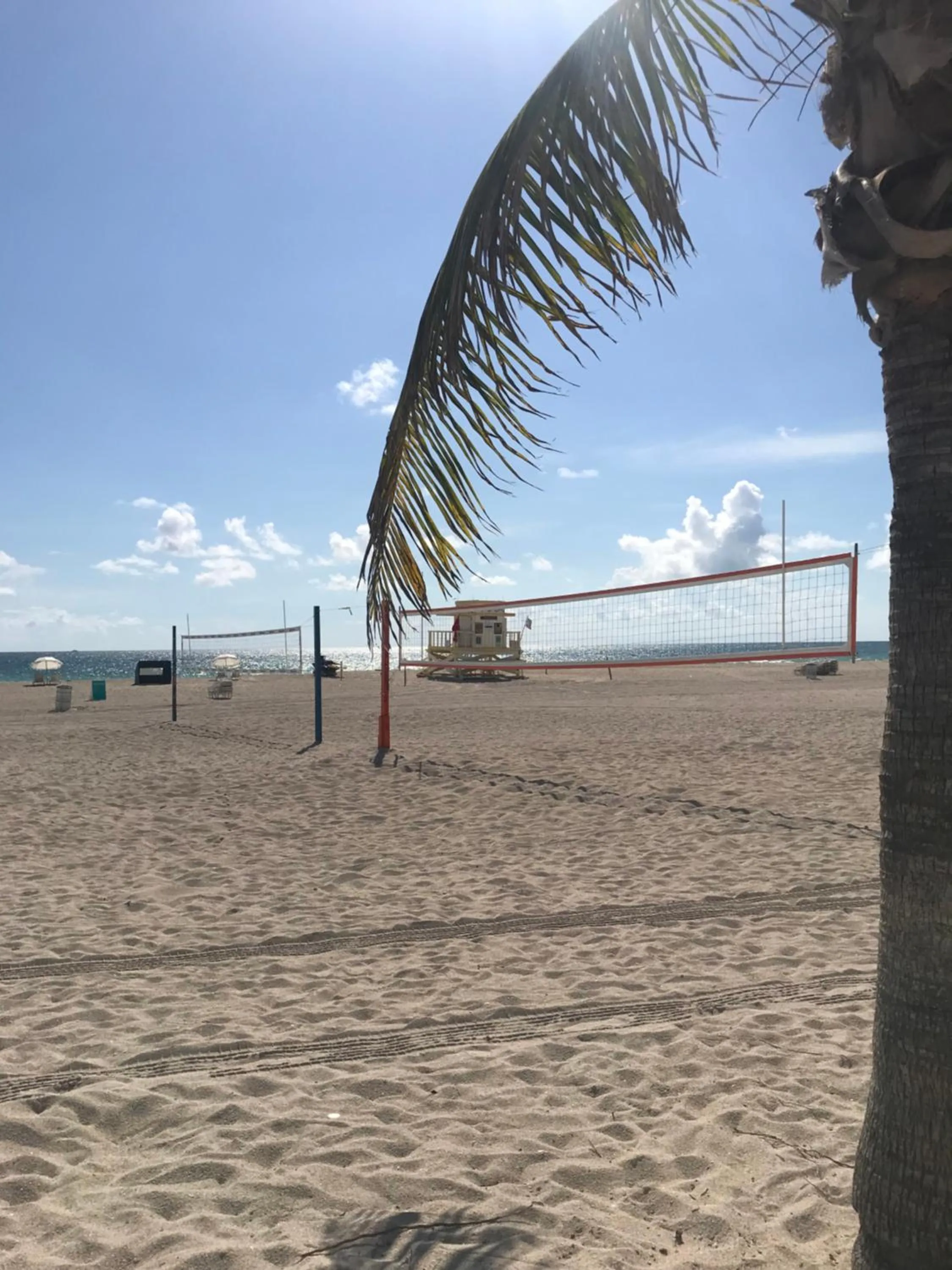 The King David Condos