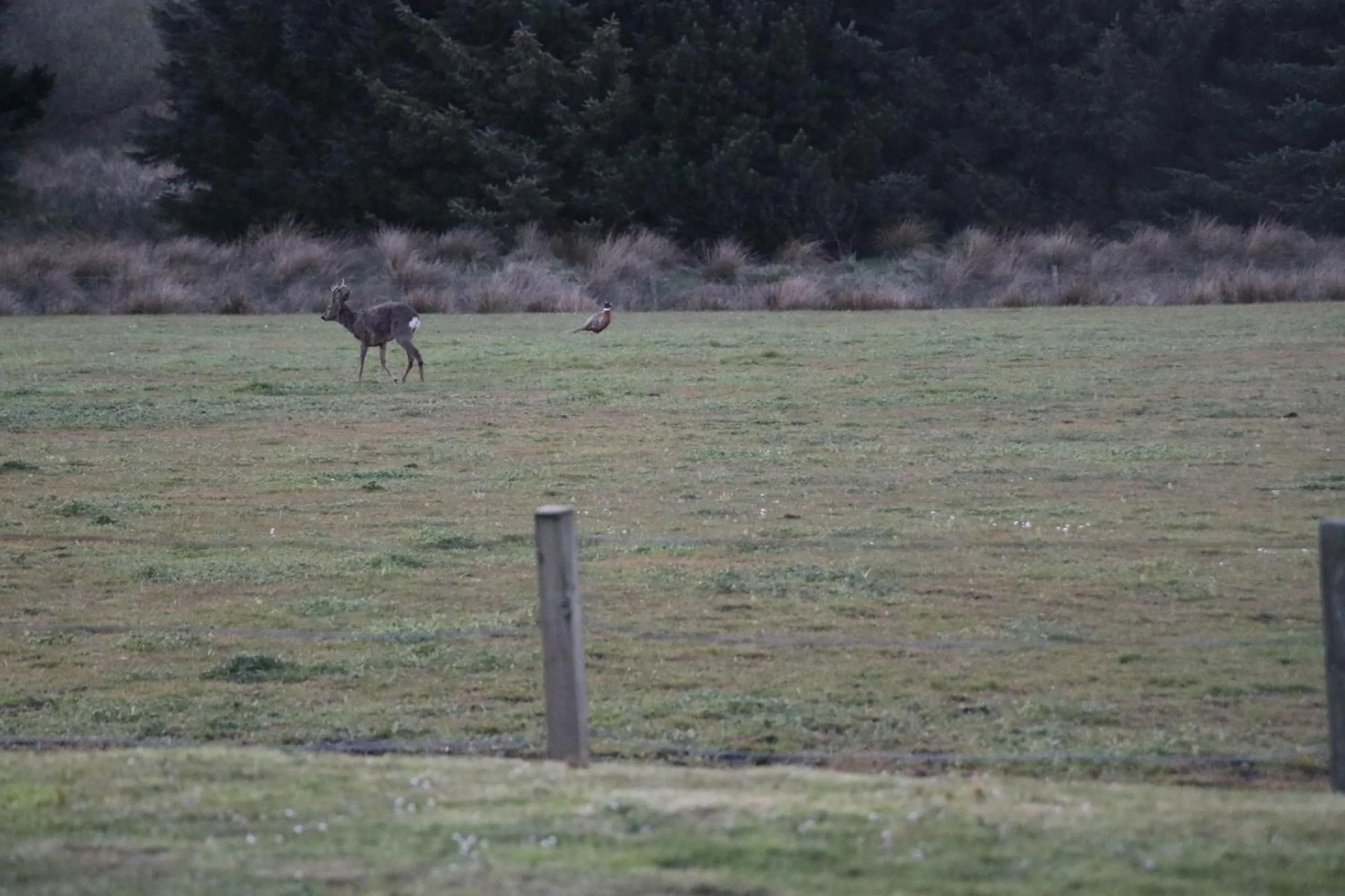 Property building in Blairmains Guest House