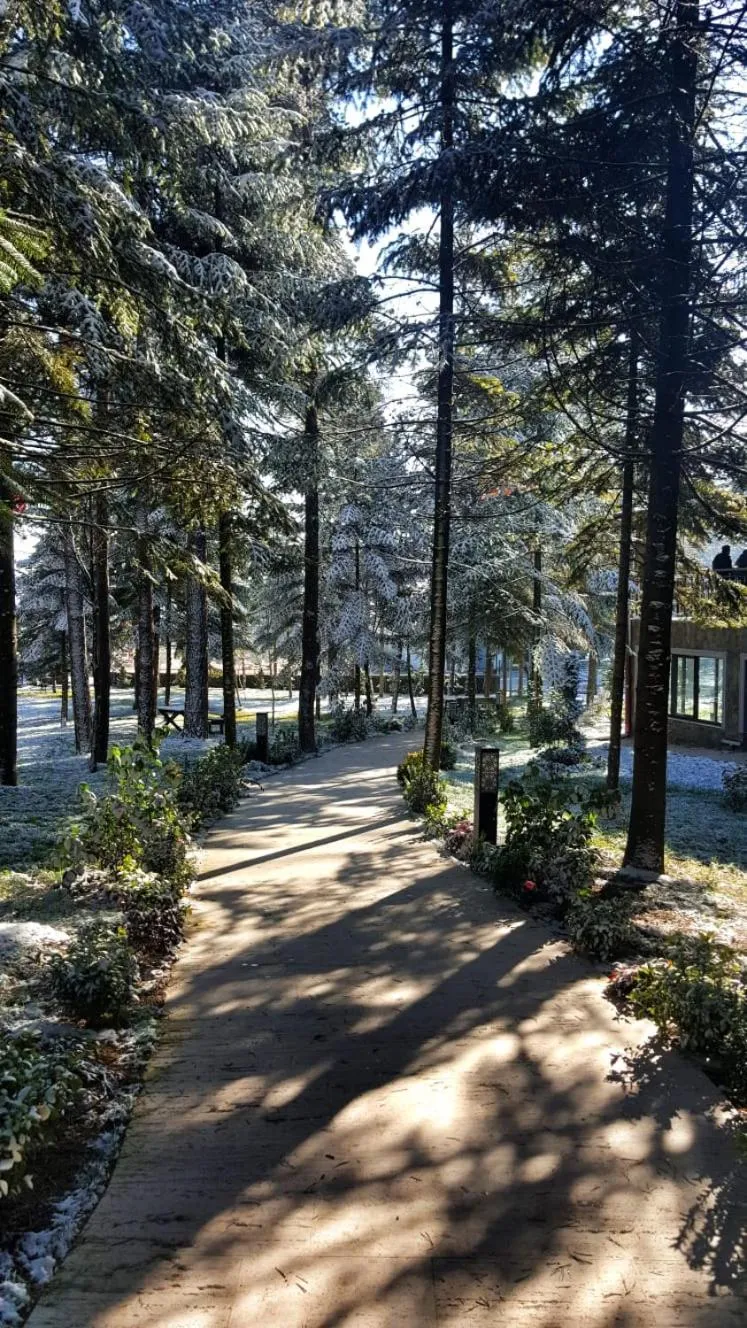 Bolu Koru Hotels Spa & Convention