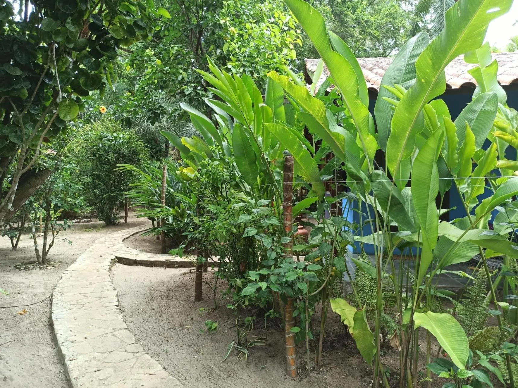 Garden in Pousada Horizonte Azul