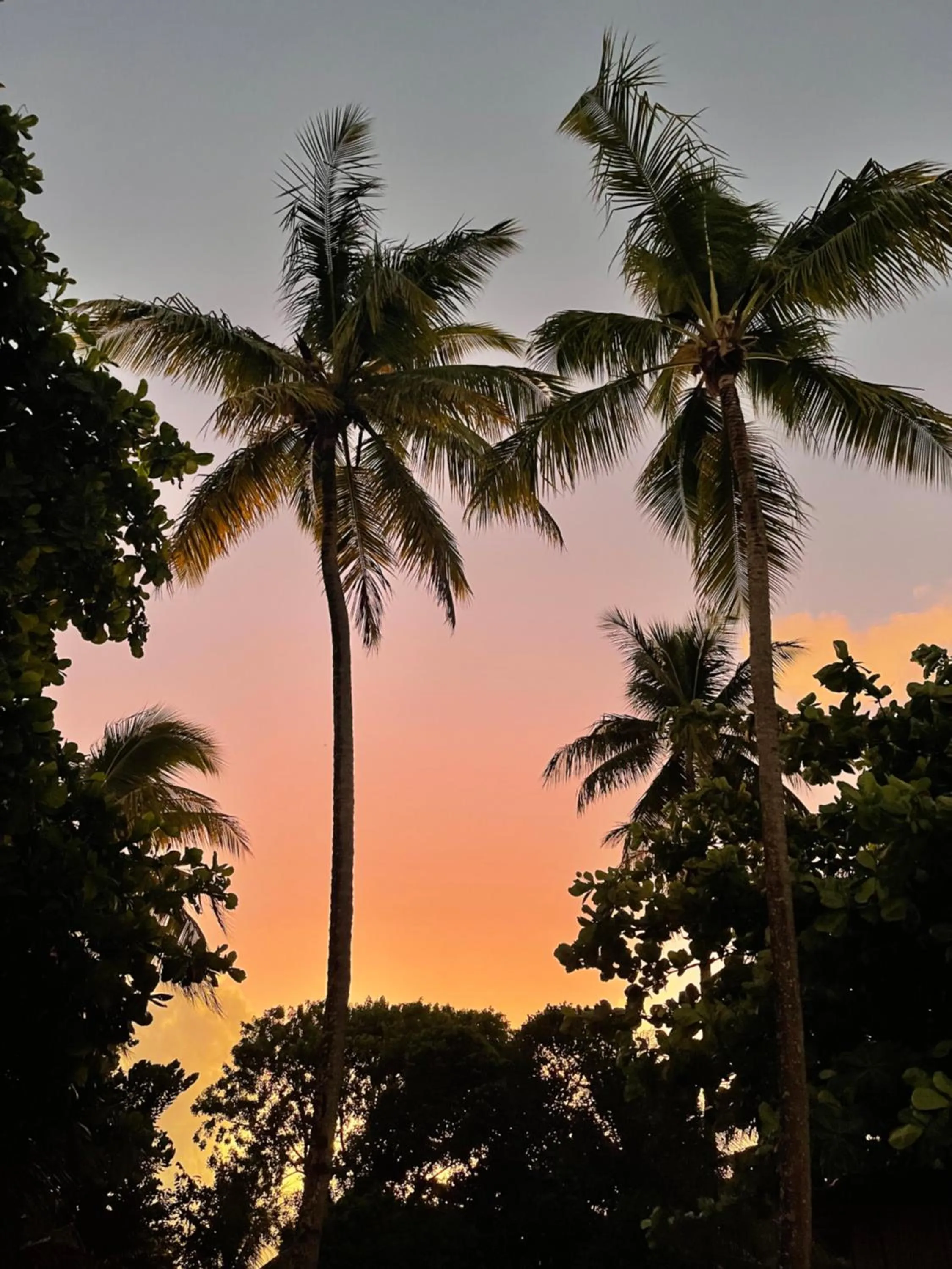 Natural landscape in Pousada Horizonte Azul