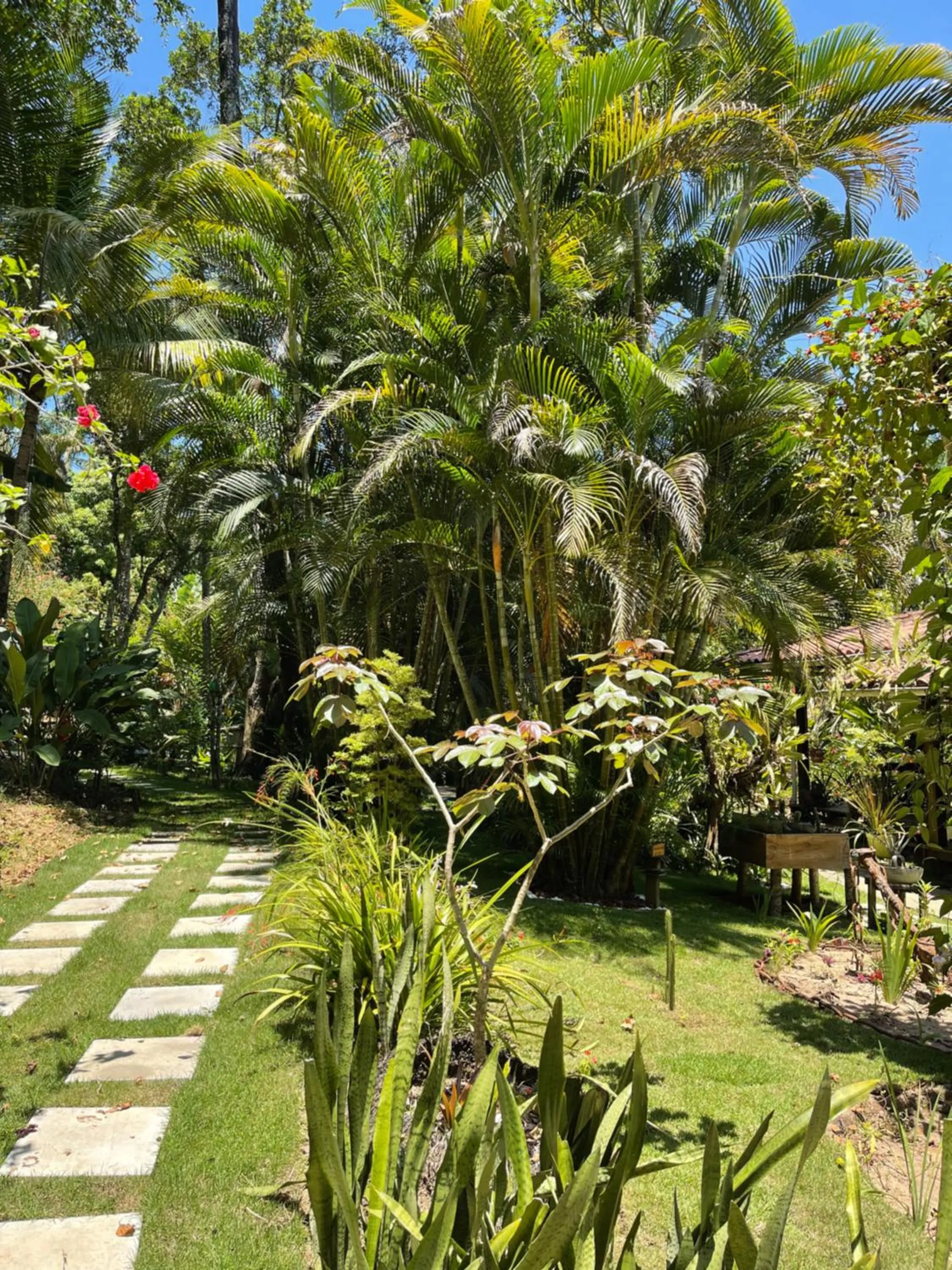 Garden view in Pousada Horizonte Azul