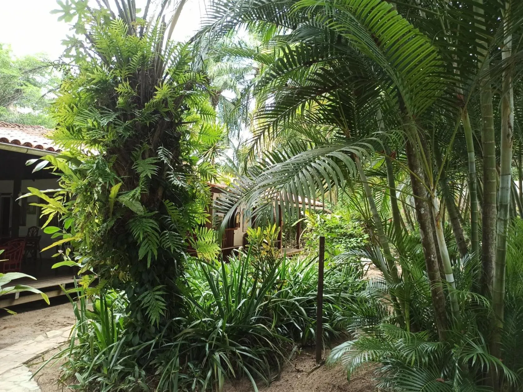 Garden in Pousada Horizonte Azul