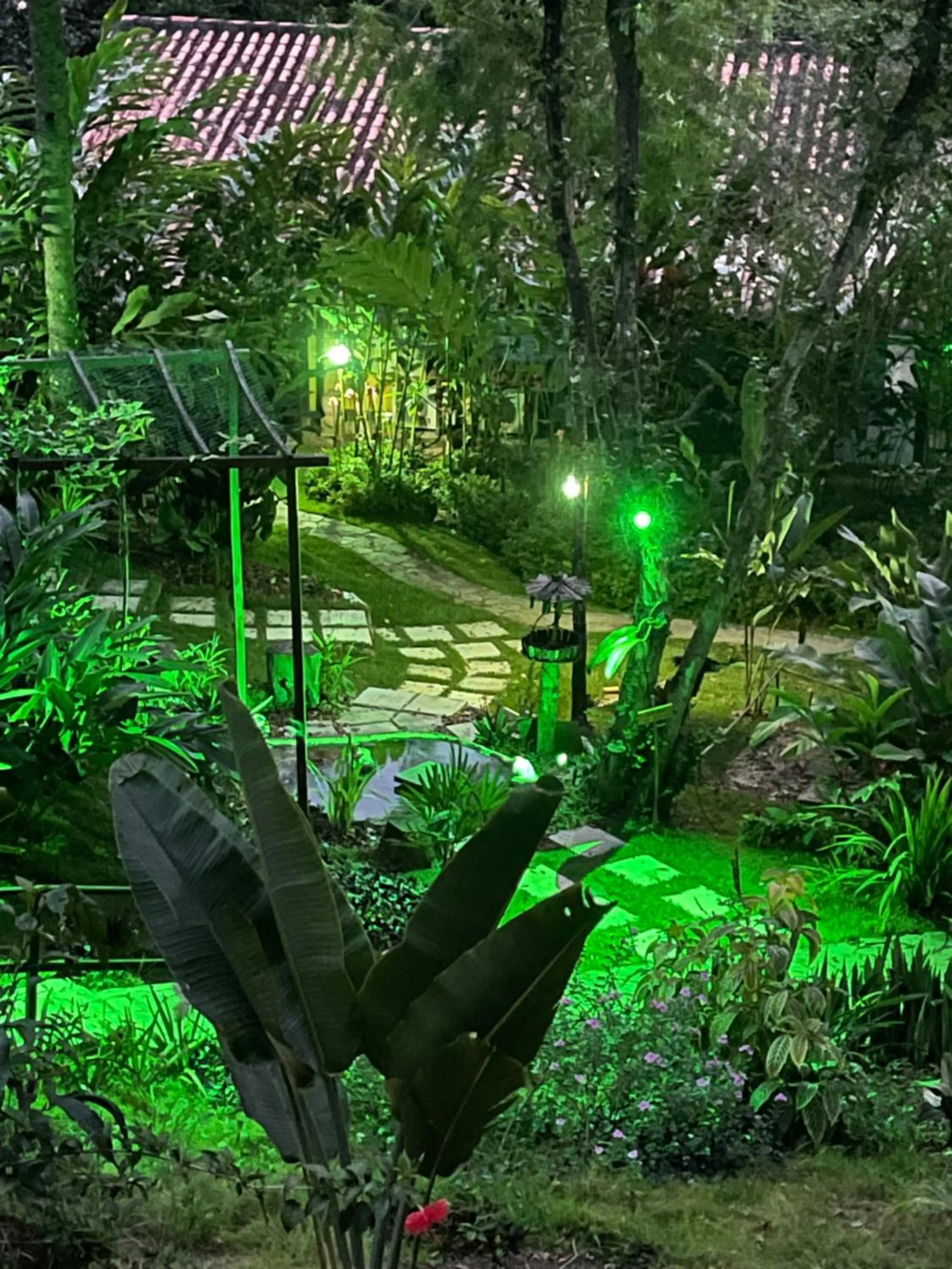 Garden view in Pousada Horizonte Azul