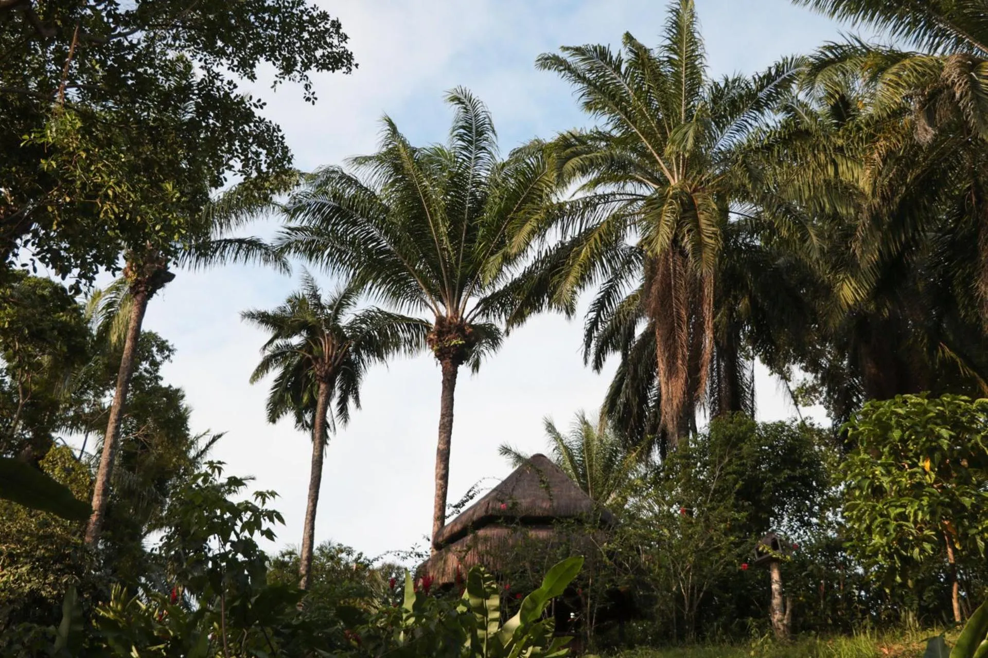 Bird's eye view in Pousada Horizonte Azul