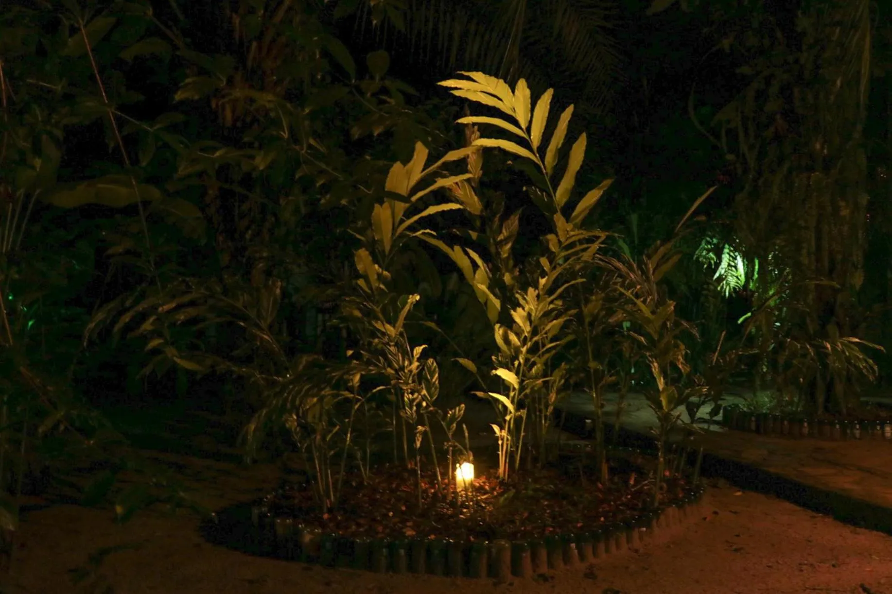 Garden in Pousada Horizonte Azul