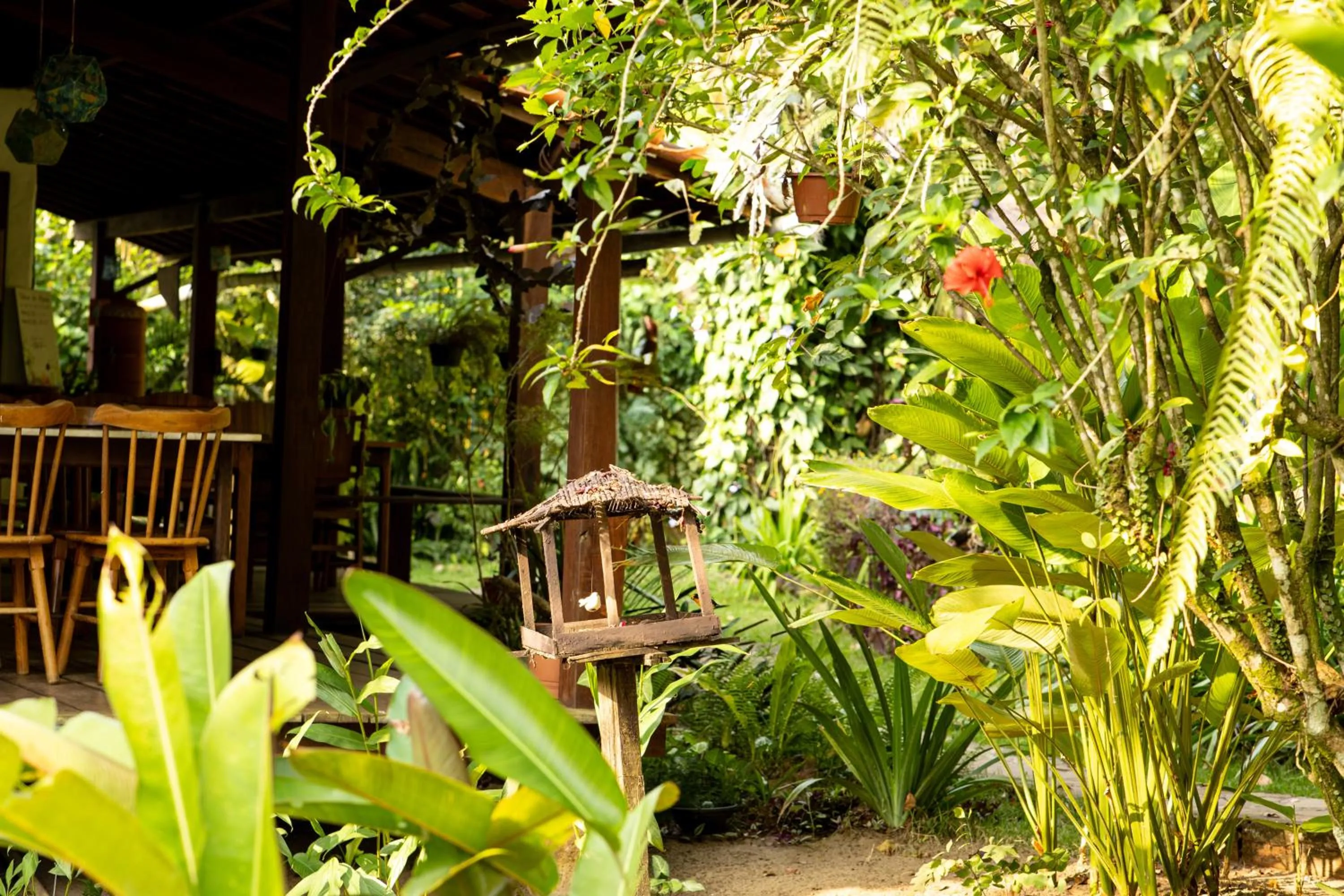 Garden view in Pousada Horizonte Azul