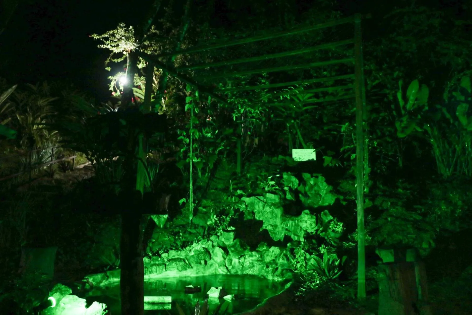 Garden in Pousada Horizonte Azul