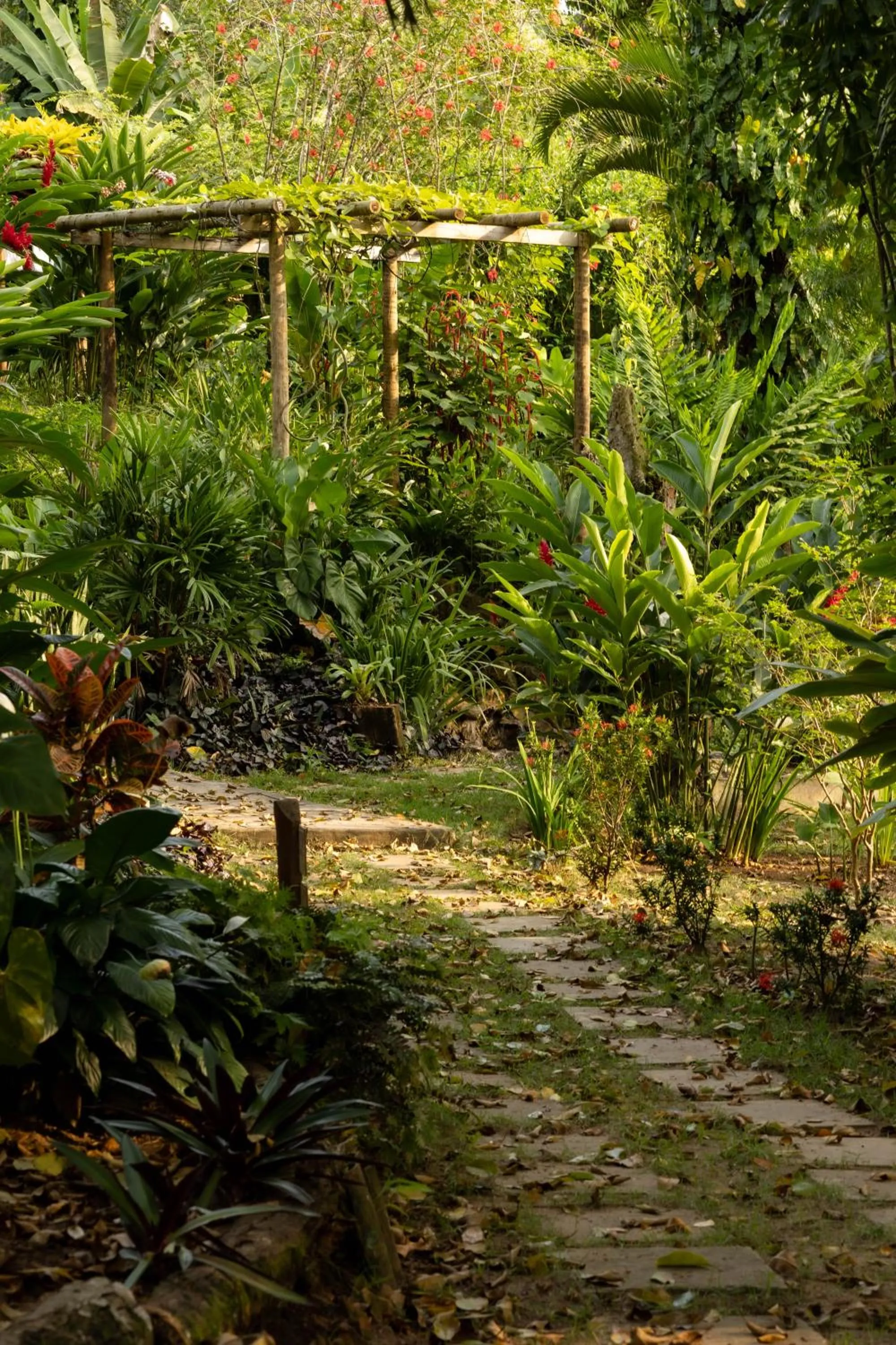 Garden in Pousada Horizonte Azul