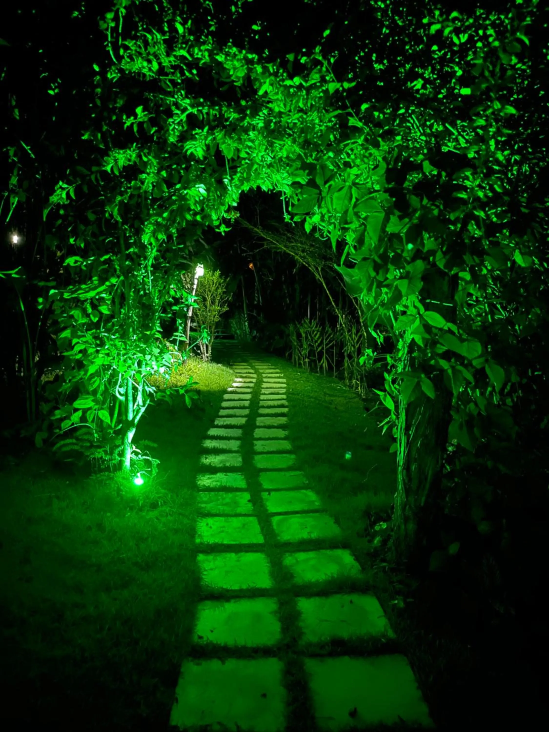 Garden in Pousada Horizonte Azul