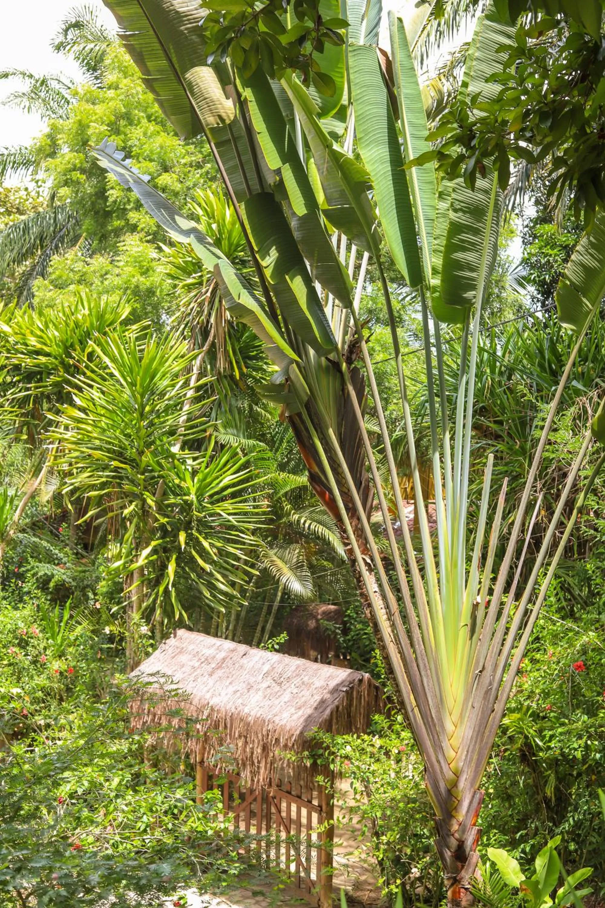 Garden view in Pousada Horizonte Azul