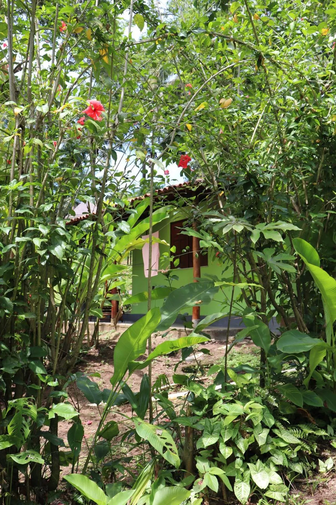 Garden in Pousada Horizonte Azul