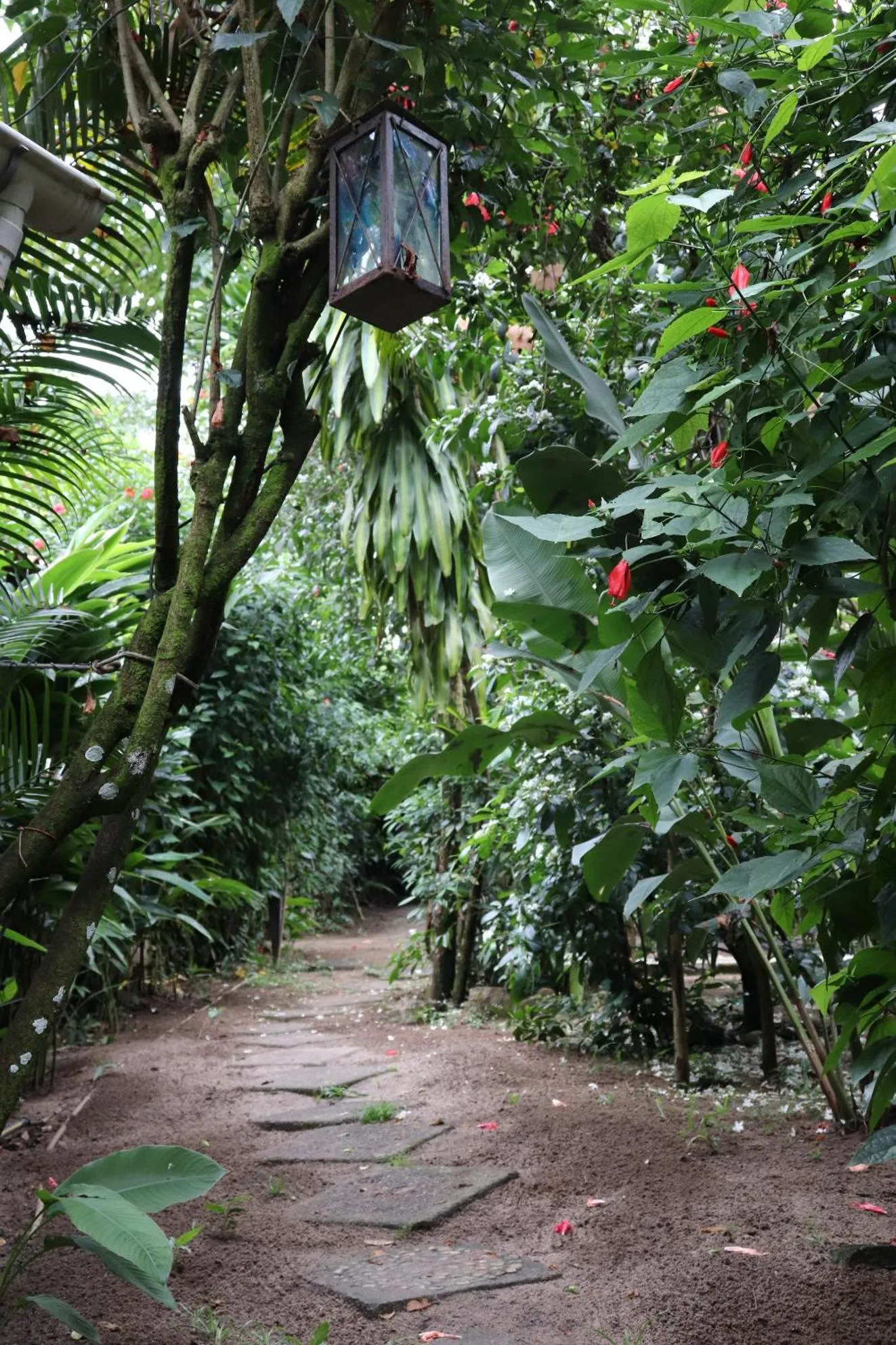 Natural landscape in Pousada Horizonte Azul