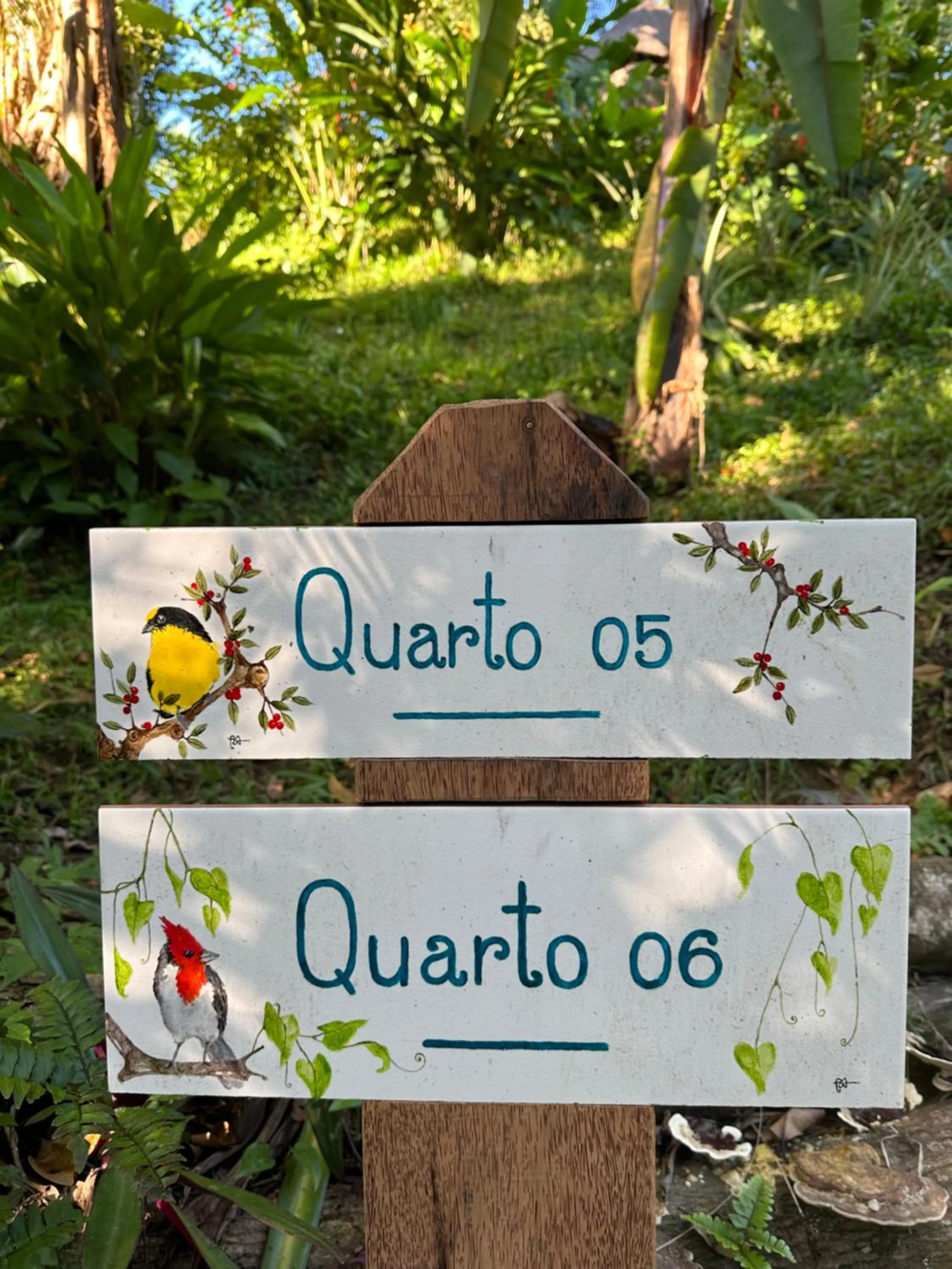 Garden in Pousada Horizonte Azul