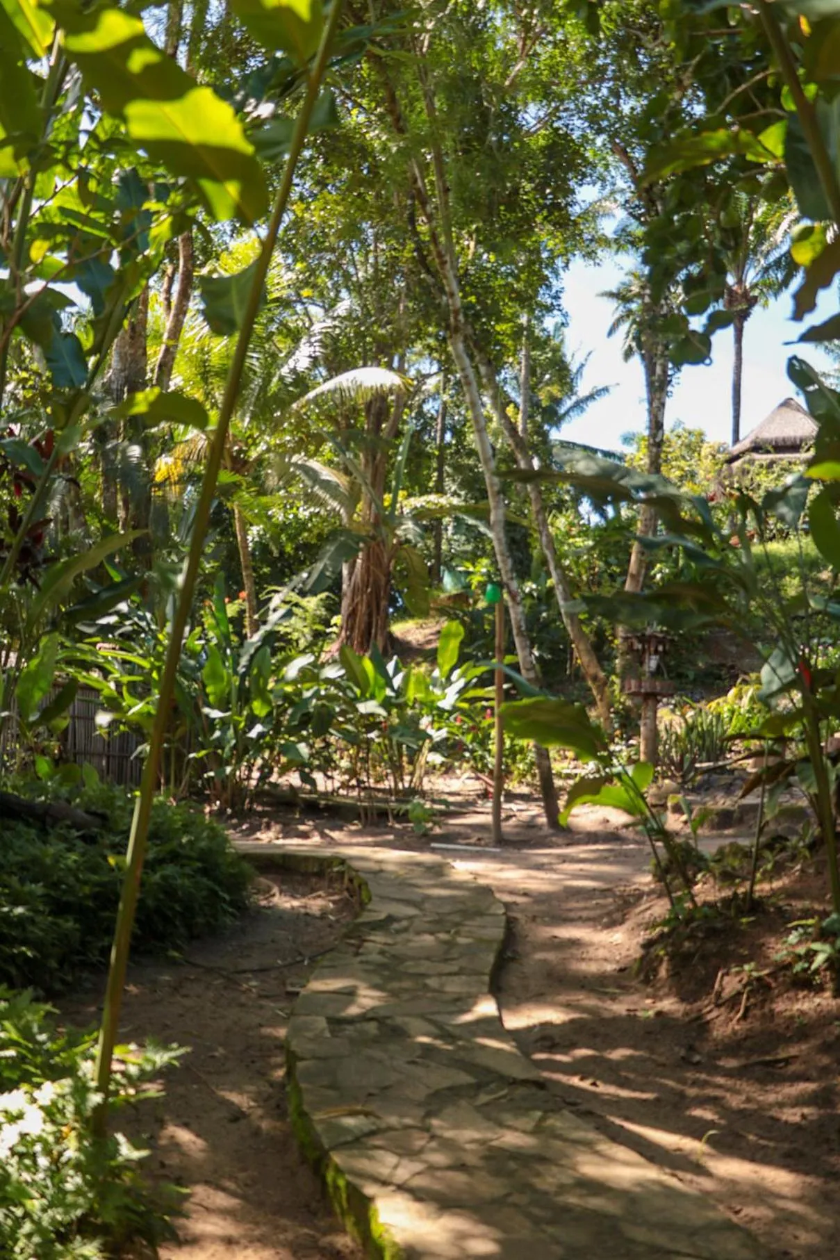 Garden in Pousada Horizonte Azul