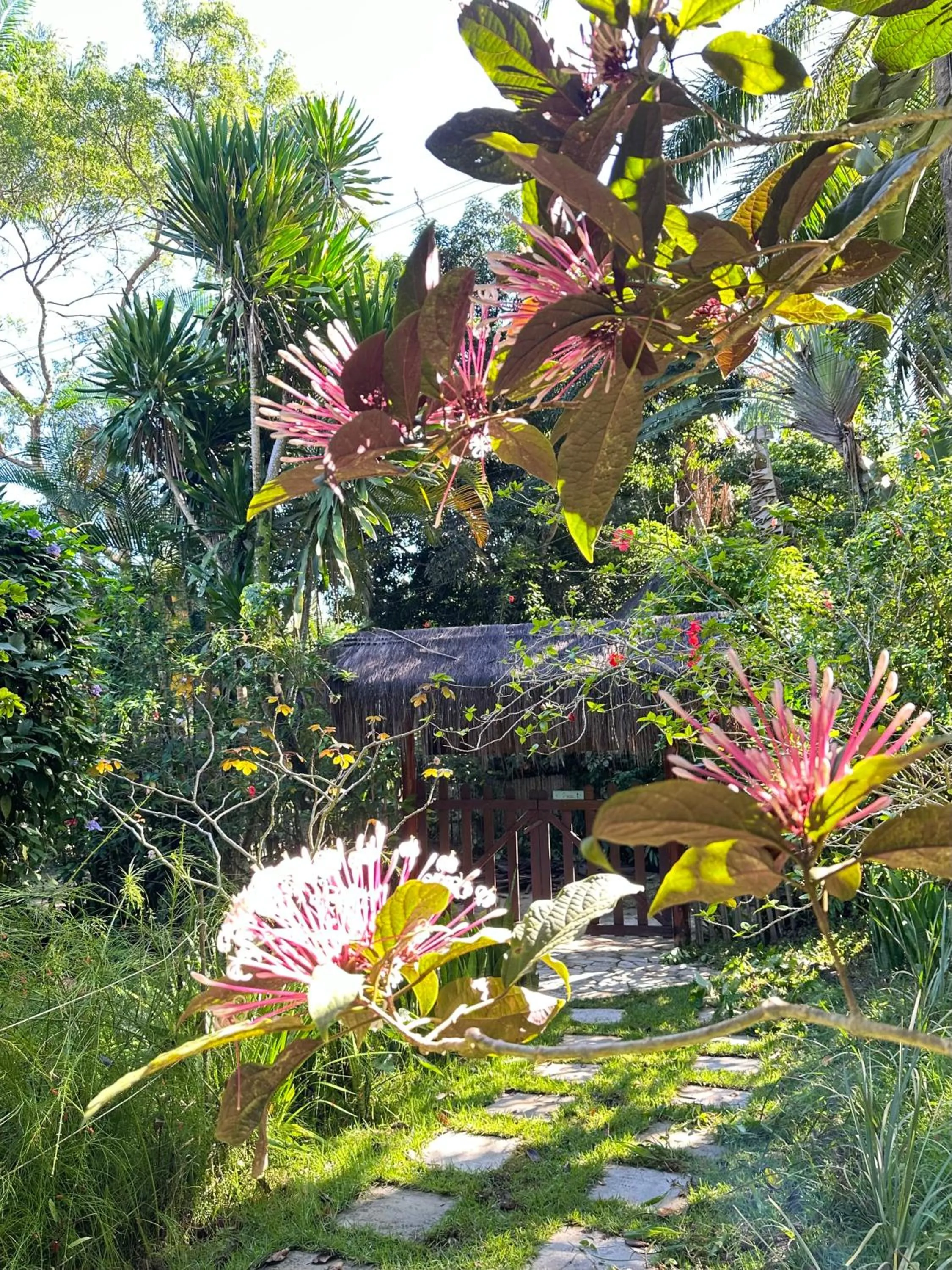 Natural landscape in Pousada Horizonte Azul