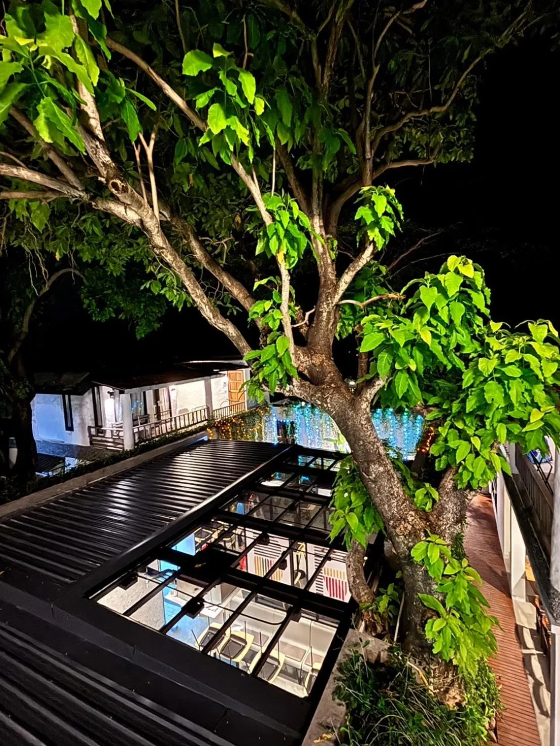 Natural landscape in Punnpreeda Beach Resort - SHA Plus Certified