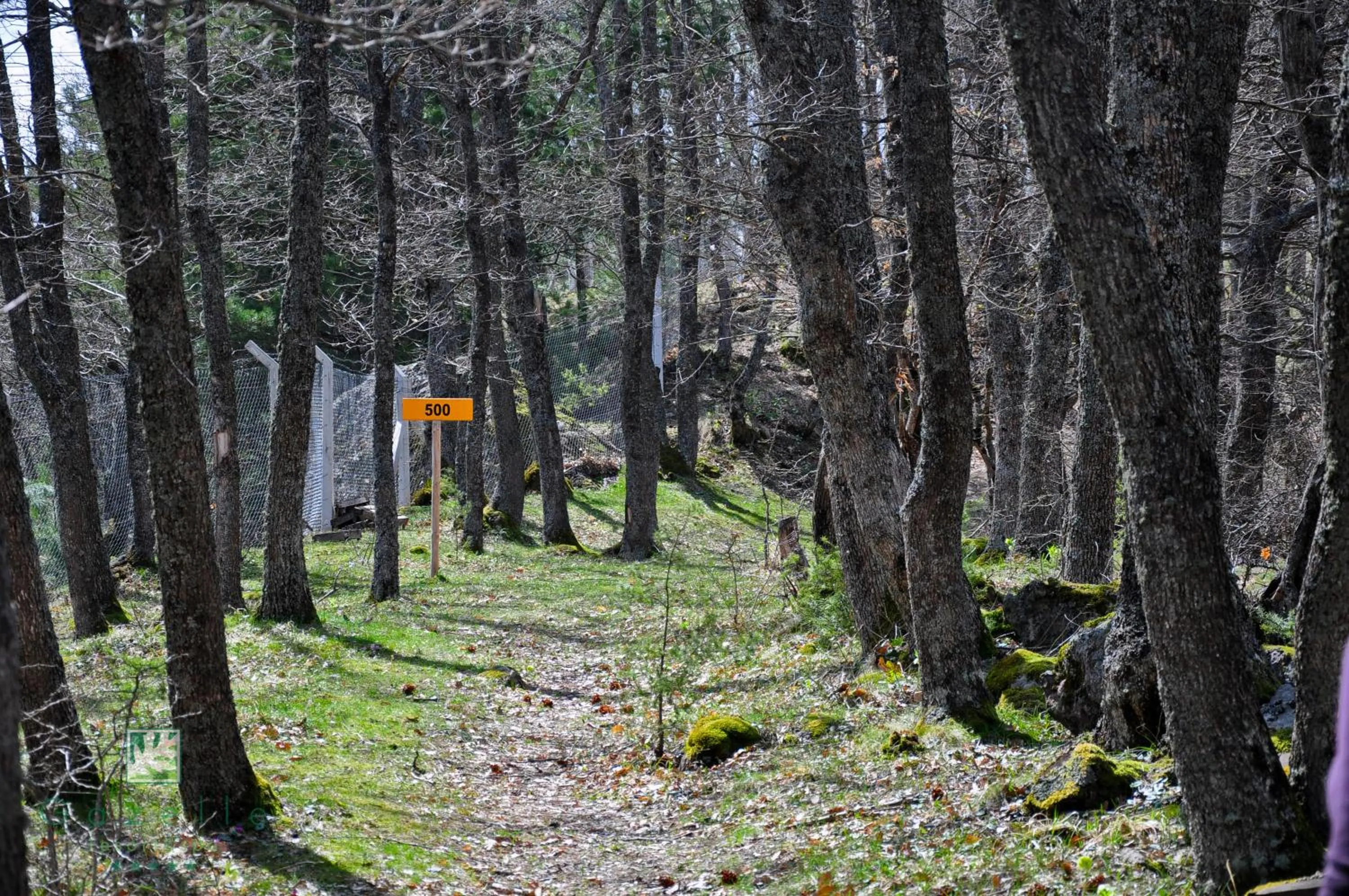 Garden in Gazelle Resort & Spa