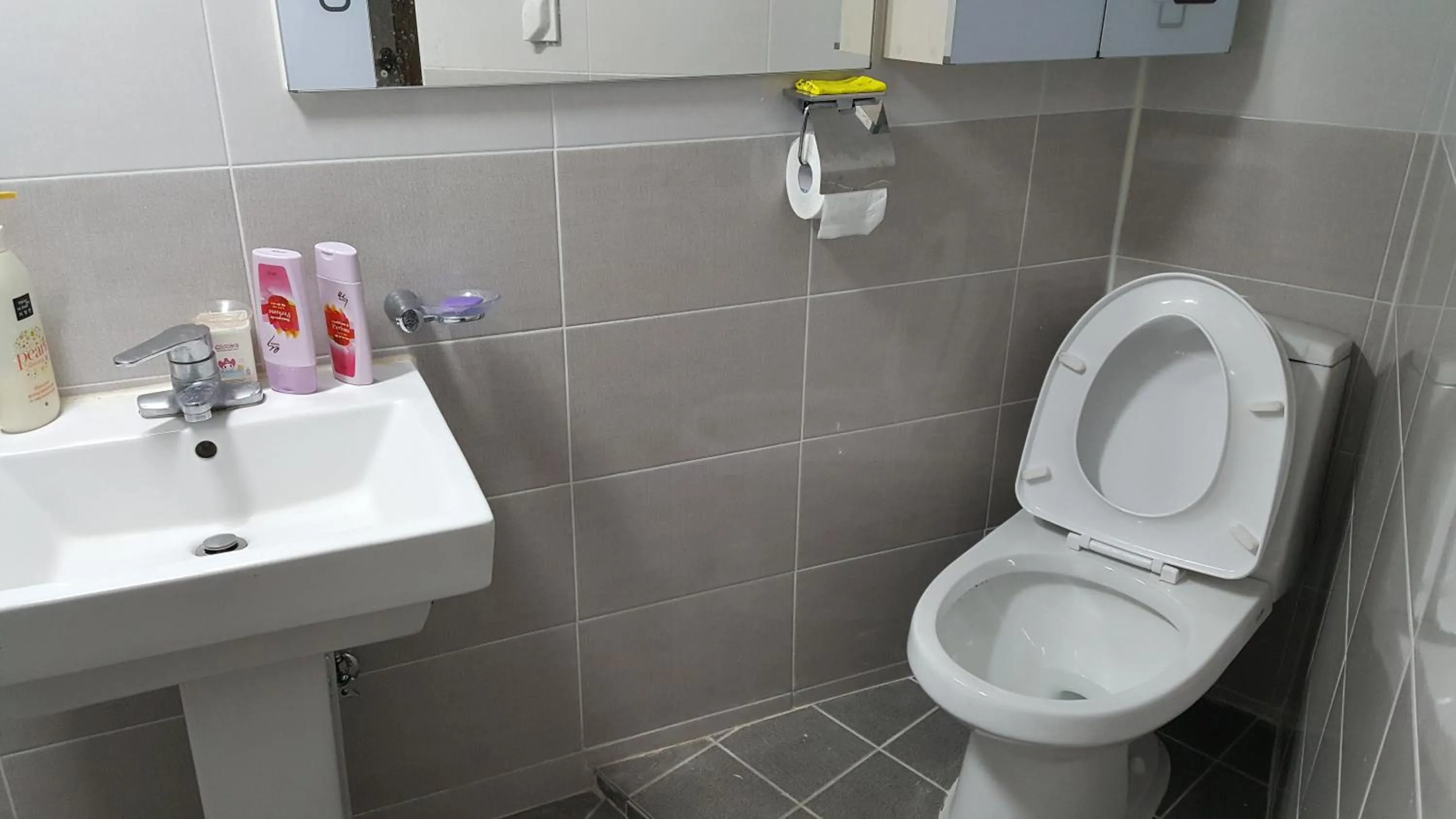 Toilet in Guest House Manna