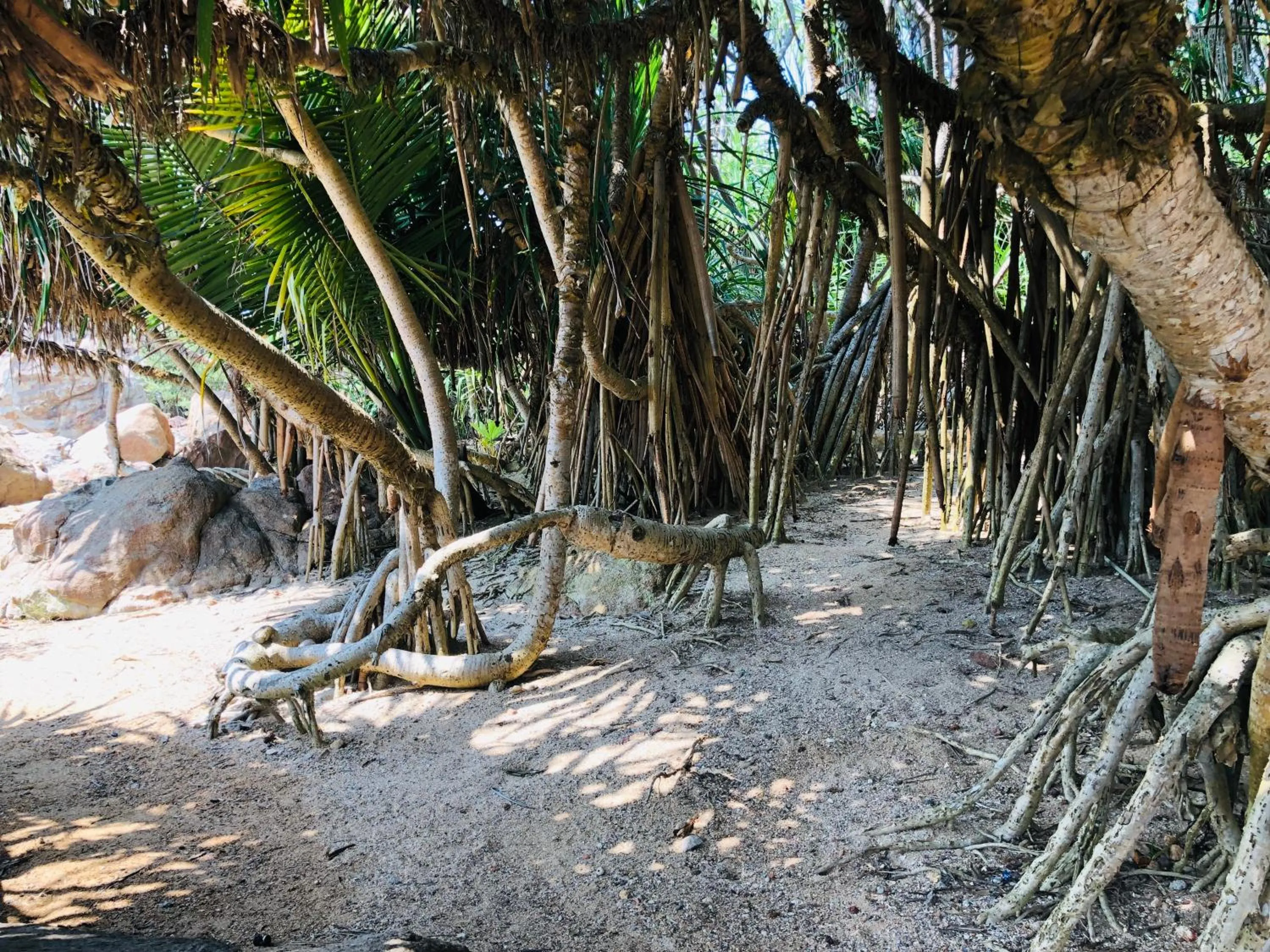 On site in Thaproban Pavilion Waves