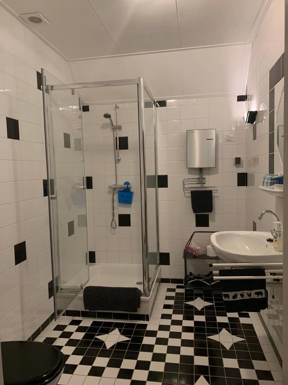 Shower in B&B De Kaagse Koe
