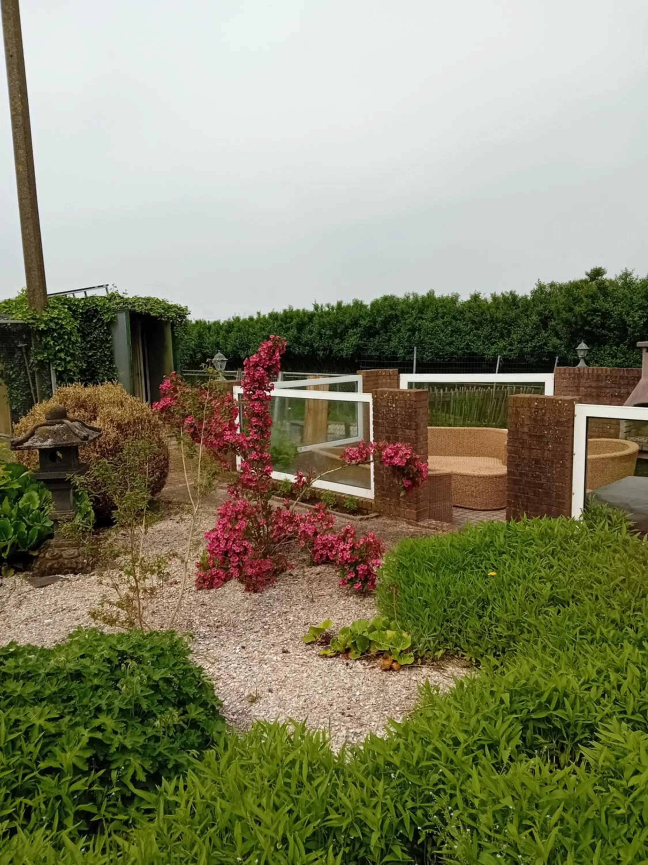 Patio in B&B De Kaagse Koe